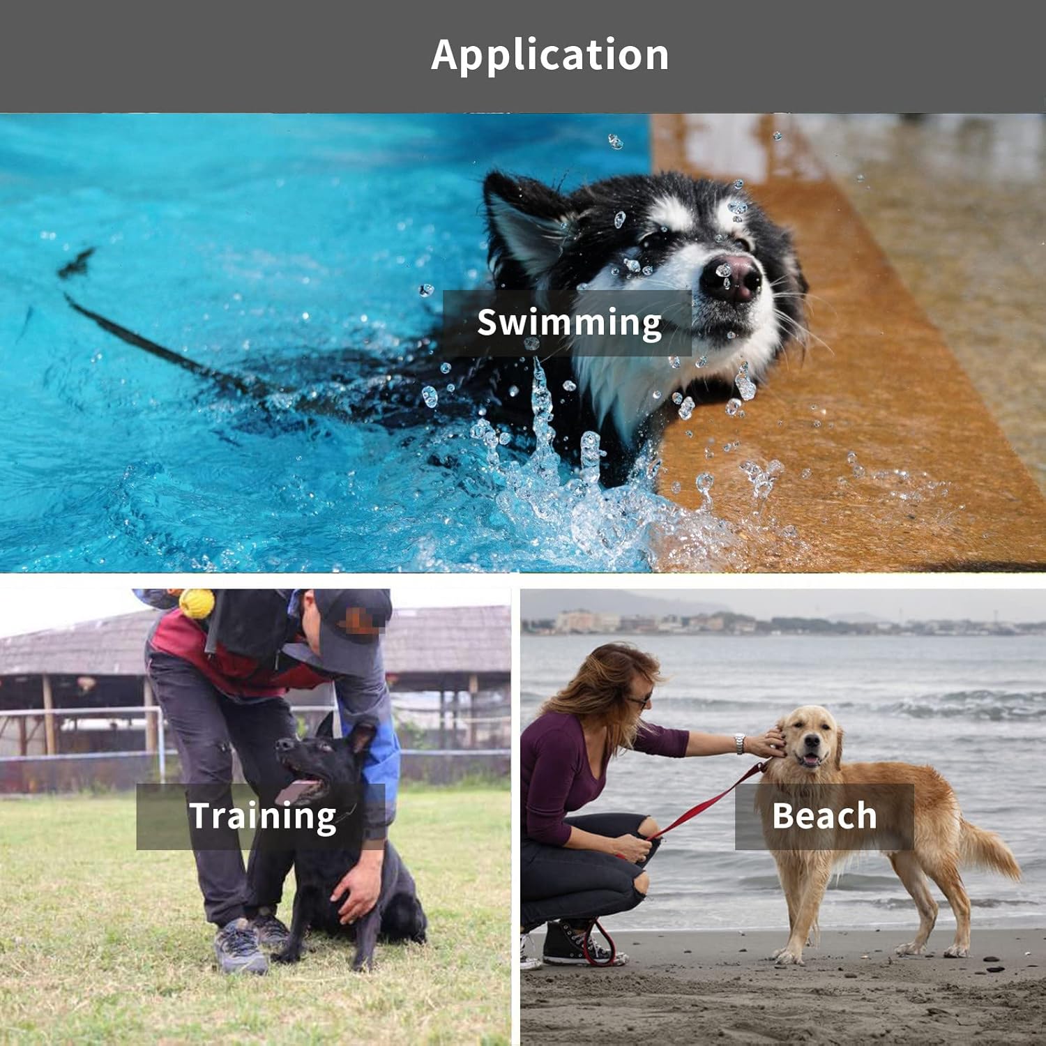 Waterproof Long Leash Durable Dog Recall Training Lead Great for Outdoor Hiking, Training, Yard, Beach and Swimming (Black, 30ft) - Image 7