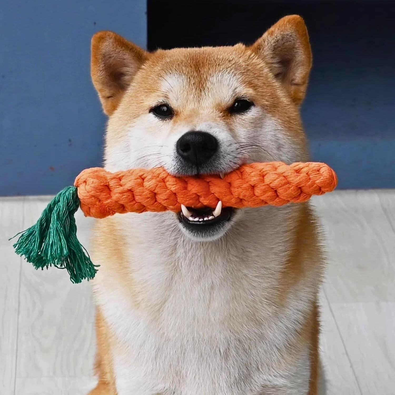 12 PCS Carrot Dog Rope Toys for Dogs, Durable Chew Toys for Aggressive Chewers, Entertainment & Interaction, Teeth Cleaning and Chewing, All-Cotton - Image 7