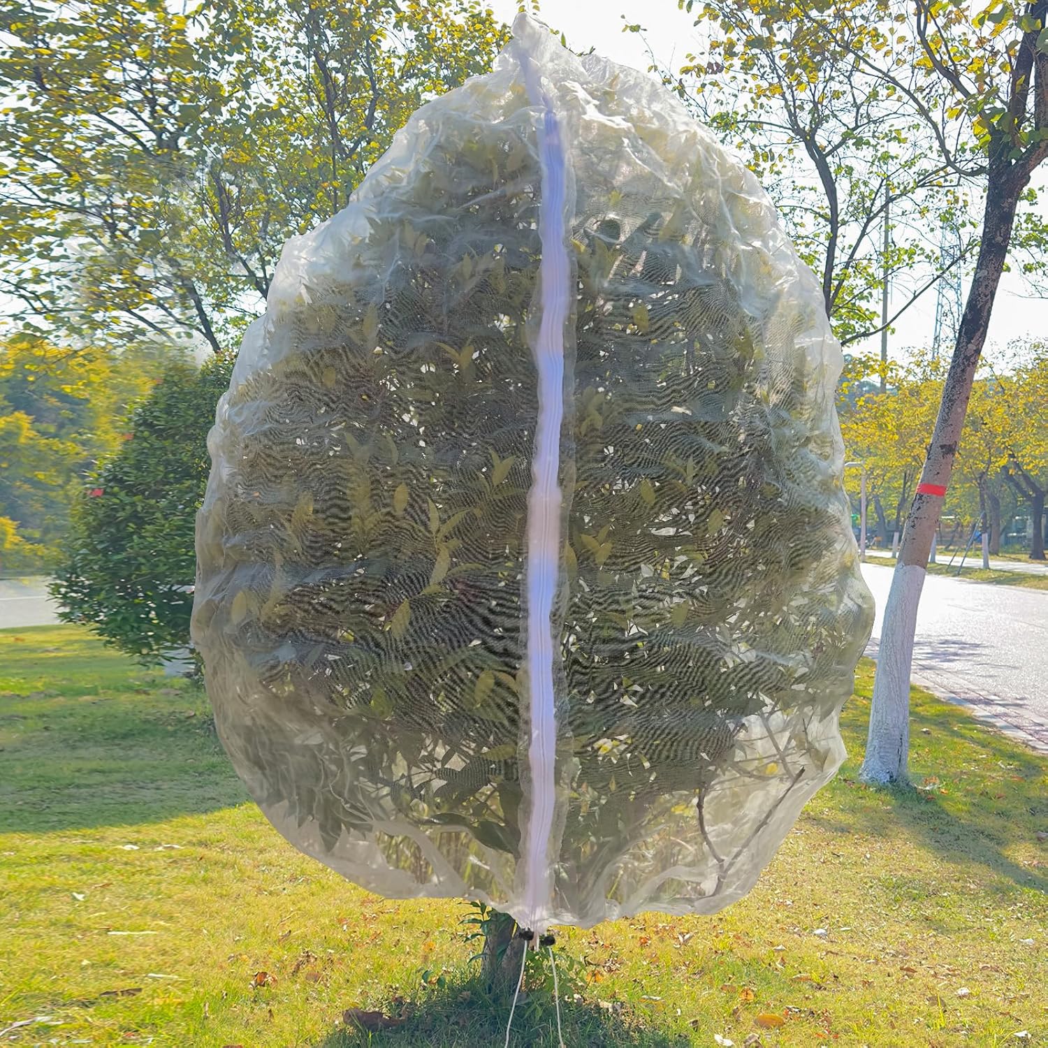 1Pack 10 * 10FT Large Fruit Tree Netting Bags with Zipper and Drawstring, Bird Netting for Blueberry Bushes and Apple Tree, Garden Netting Cover Safeguard Plant from Birds, Pest and Deer - Image 3