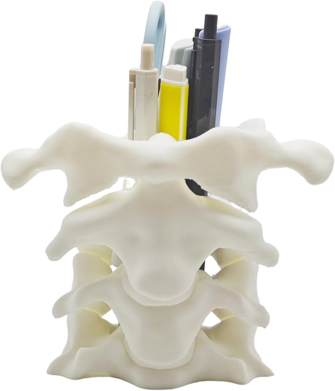 Unique Spine Pen Holder for Desk, Pencil Holder Desk Organizers, Office Supplies Decorations Idea Gift for Doctors, Nurses, Chiropractors - Image 1