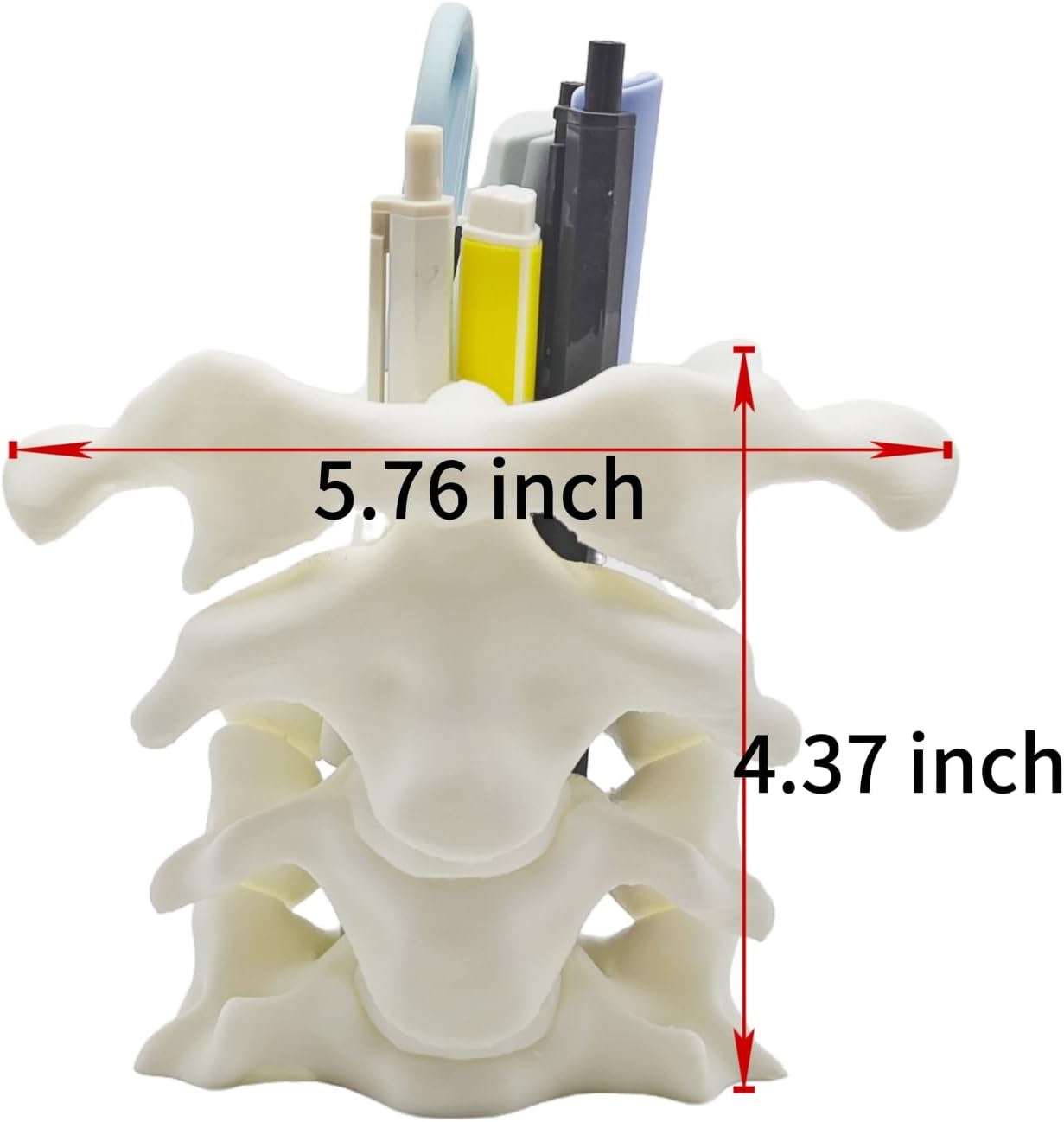 Unique Spine Pen Holder for Desk, Pencil Holder Desk Organizers, Office Supplies Decorations Idea Gift for Doctors, Nurses, Chiropractors - Image 2