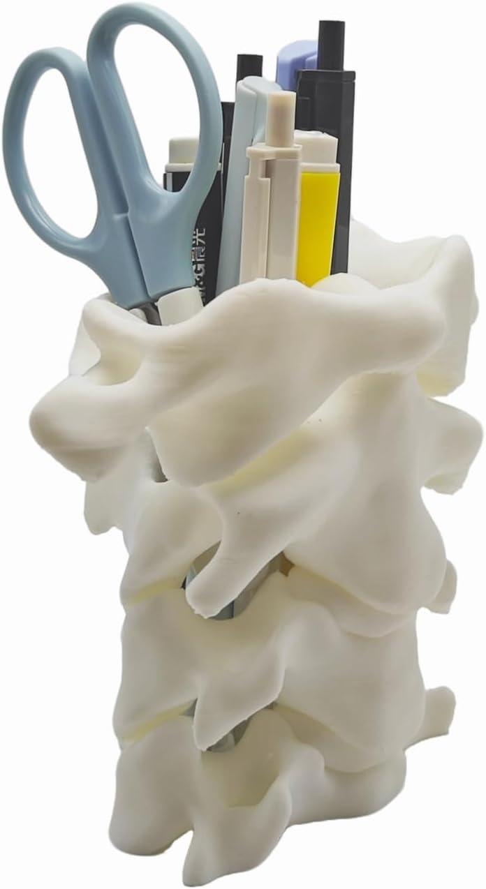 Unique Spine Pen Holder for Desk, Pencil Holder Desk Organizers, Office Supplies Decorations Idea Gift for Doctors, Nurses, Chiropractors - Image 5