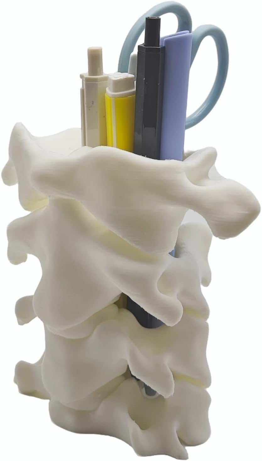 Unique Spine Pen Holder for Desk, Pencil Holder Desk Organizers, Office Supplies Decorations Idea Gift for Doctors, Nurses, Chiropractors - Image 6