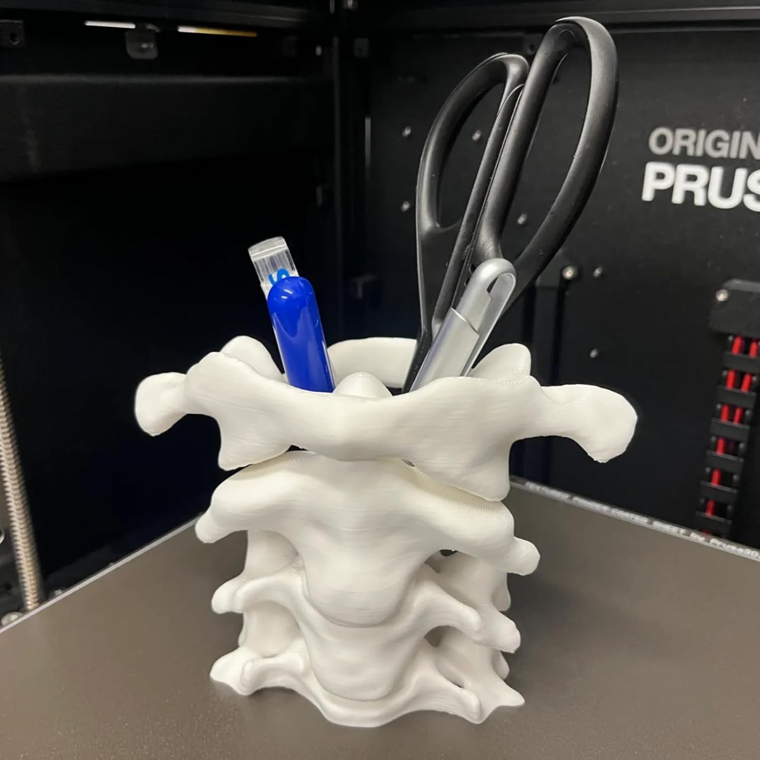 Unique Spine Pen Holder for Desk, Pencil Holder Desk Organizers, Office Supplies Decorations Idea Gift for Doctors, Nurses, Chiropractors - Image 7