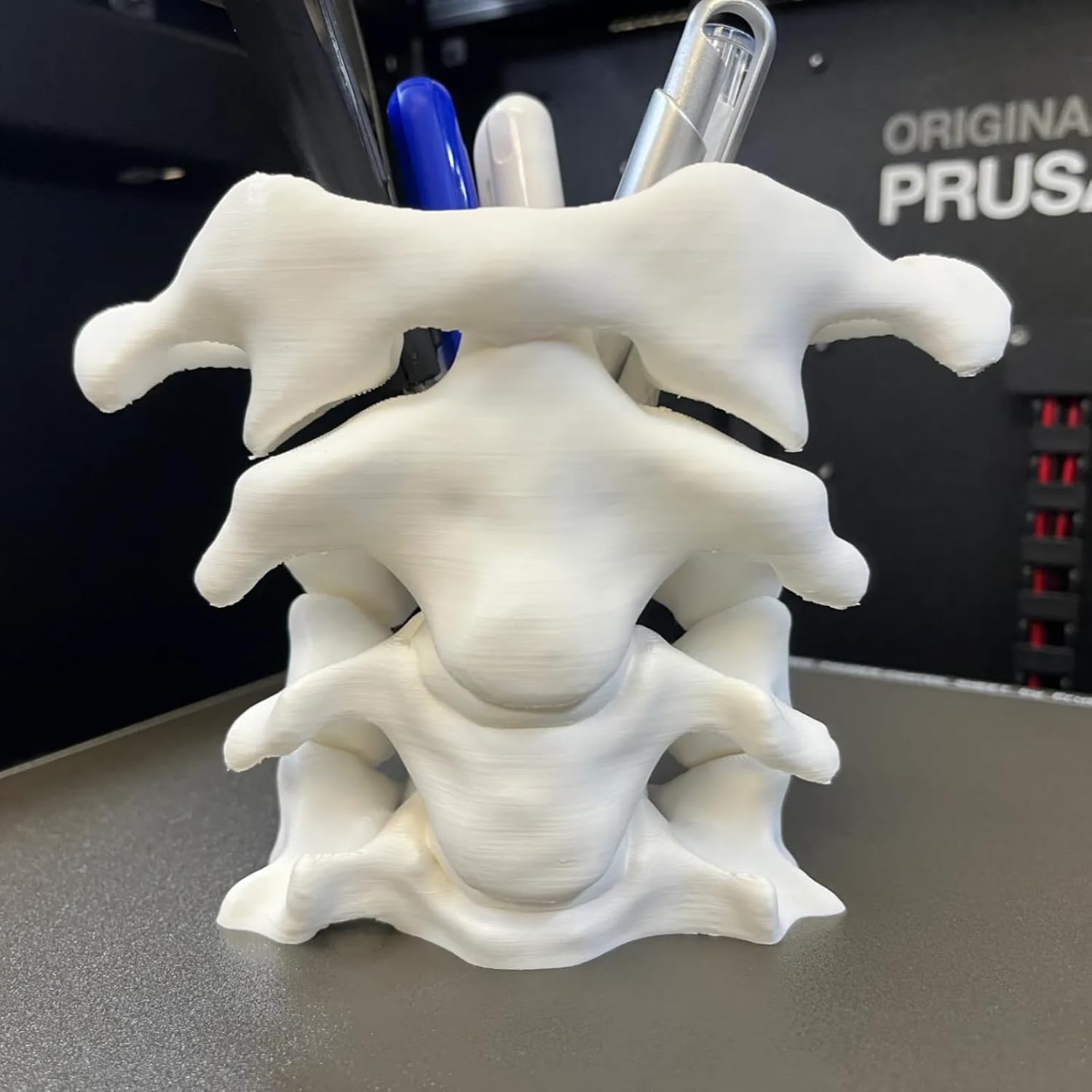 Unique Spine Pen Holder for Desk, Pencil Holder Desk Organizers, Office Supplies Decorations Idea Gift for Doctors, Nurses, Chiropractors - Image 8