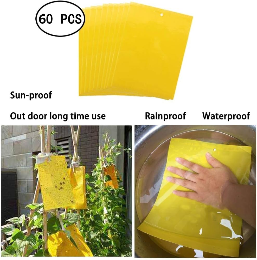 Dual-Sided Yellow Sticky Traps for Capturing Flying Plant Insects Like Fungus Gnats, Flying Aphid, Whiteflies, Leaf Miners, Other Flying Plant Insects (6x10 Inches, Twist Ties Included) (60-Pack) - Image 5