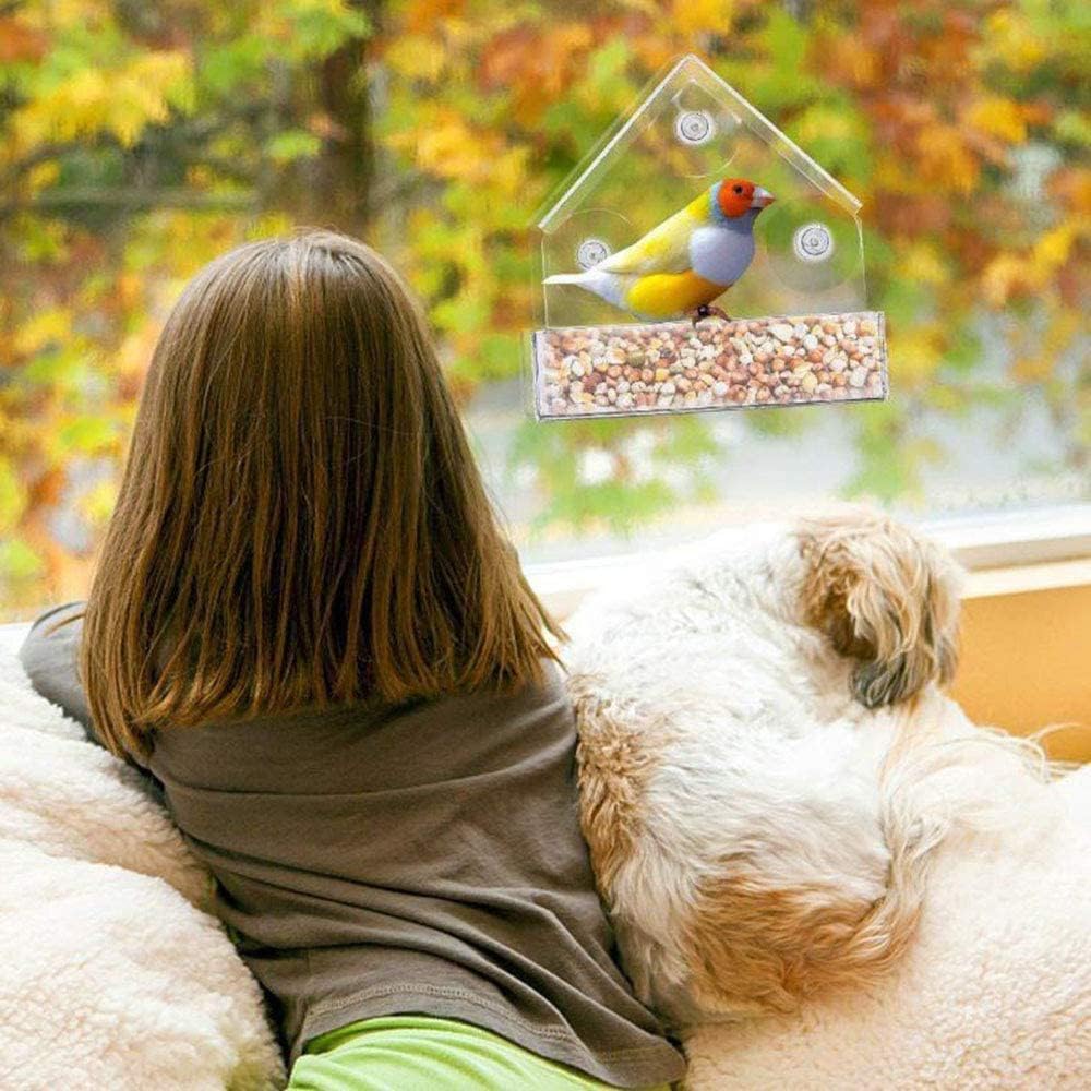 Bird Feeder, Window Bird House Crystal Clear Acrylic with Seed Tray, Drain Holes and 3 Suction Cups, Weatherproof Design, Squirrel Resistant, Drains Rain Water, Great Gift Idea for Nature Lovers - Image 8
