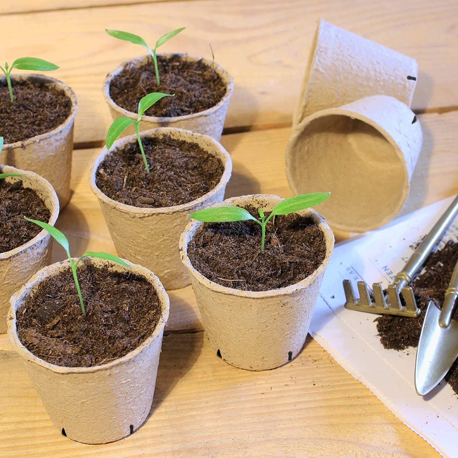 100PCS 8CM Seed Starter Pots, Seed Starter Kit, Transplant Seedlings Pots, Organic Biodegradable Pots for Plant Starters, Seedlings, Saplings, Flowers, Vegetables, with Bonus 100 Plastic Plant Markers - Image 3