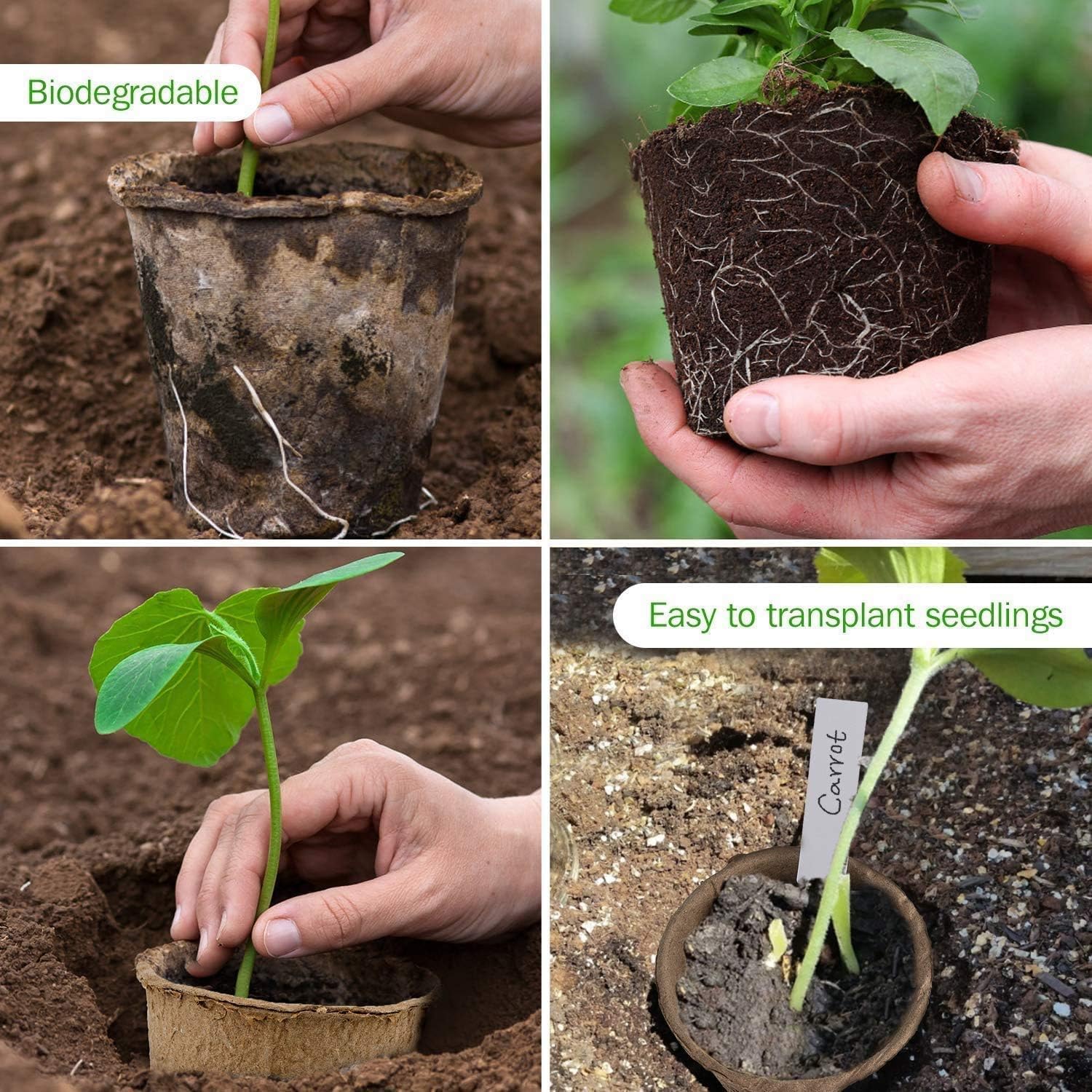 100PCS 8CM Seed Starter Pots, Seed Starter Kit, Transplant Seedlings Pots, Organic Biodegradable Pots for Plant Starters, Seedlings, Saplings, Flowers, Vegetables, with Bonus 100 Plastic Plant Markers - Image 4