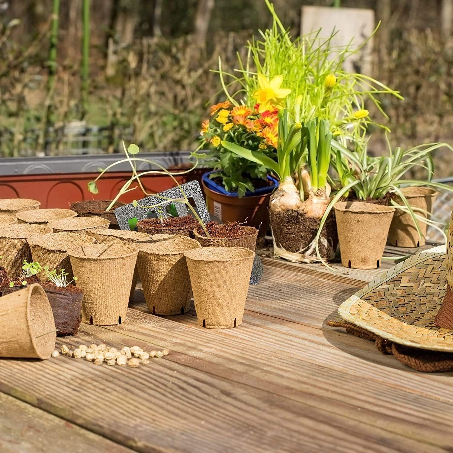 100PCS 8CM Seed Starter Pots, Seed Starter Kit, Transplant Seedlings Pots, Organic Biodegradable Pots for Plant Starters, Seedlings, Saplings, Flowers, Vegetables, with Bonus 100 Plastic Plant Markers - Image 7