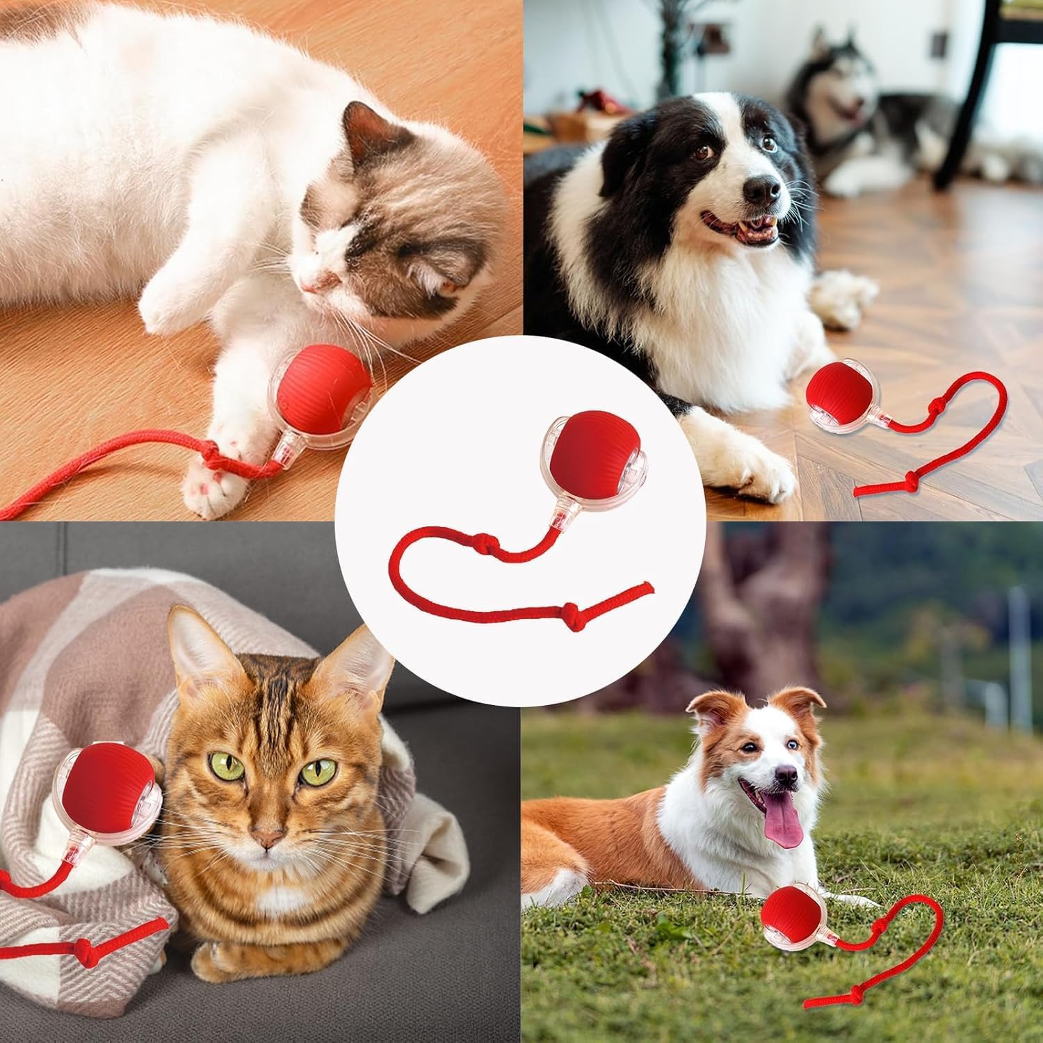 Interactive Rolling Dog Ball, Interactive Cat to-ys Rolling Ball Chewie Viral Dog Ball, Smart Automatic Rolling Pet Ball for Cats Dogs Motion Activated - Image 8