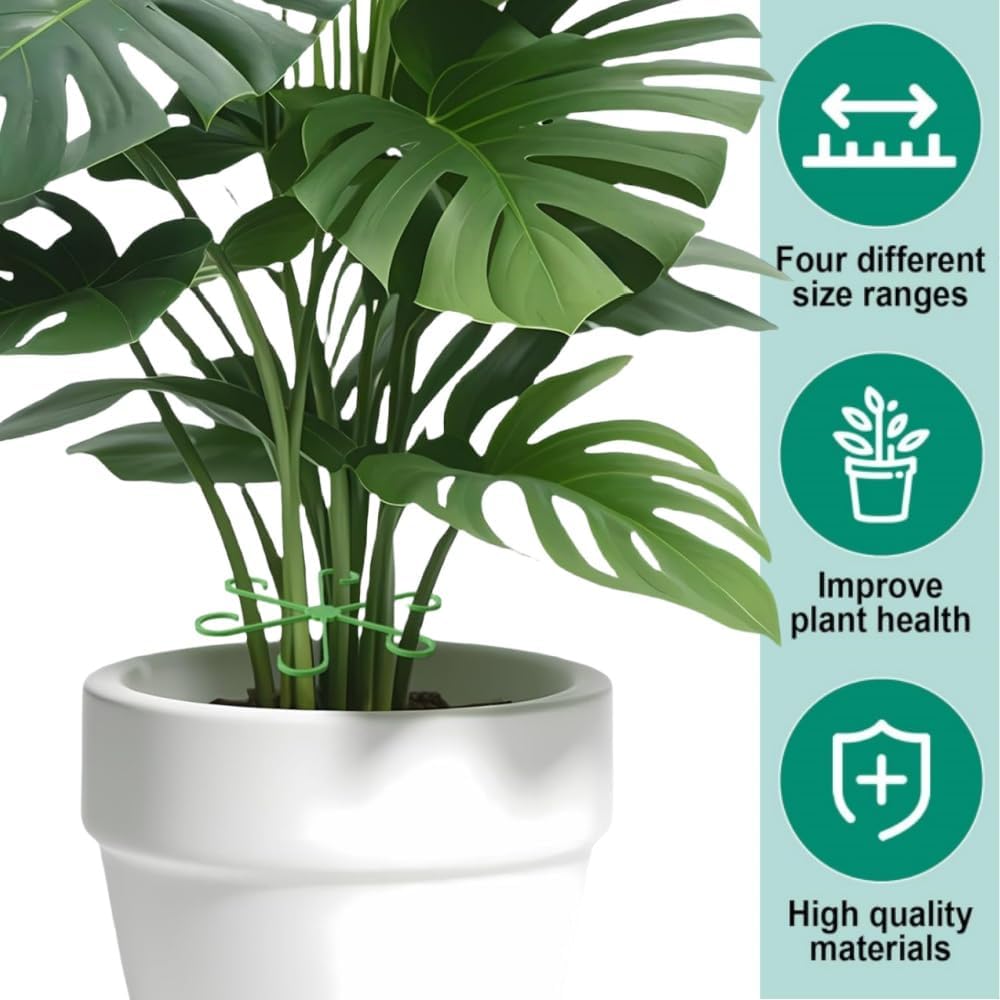 12PCS Plant Stem Support, 4 Sizes Climbing Houseplant Stem Holders, Reusable Flower Trellis Stem Hook Plant Care Growth Accessories for Flower Plants Indoor Outdoor - Image 3