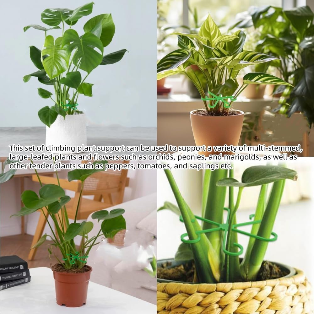 12PCS Plant Stem Support, 4 Sizes Climbing Houseplant Stem Holders, Reusable Flower Trellis Stem Hook Plant Care Growth Accessories for Flower Plants Indoor Outdoor - Image 7