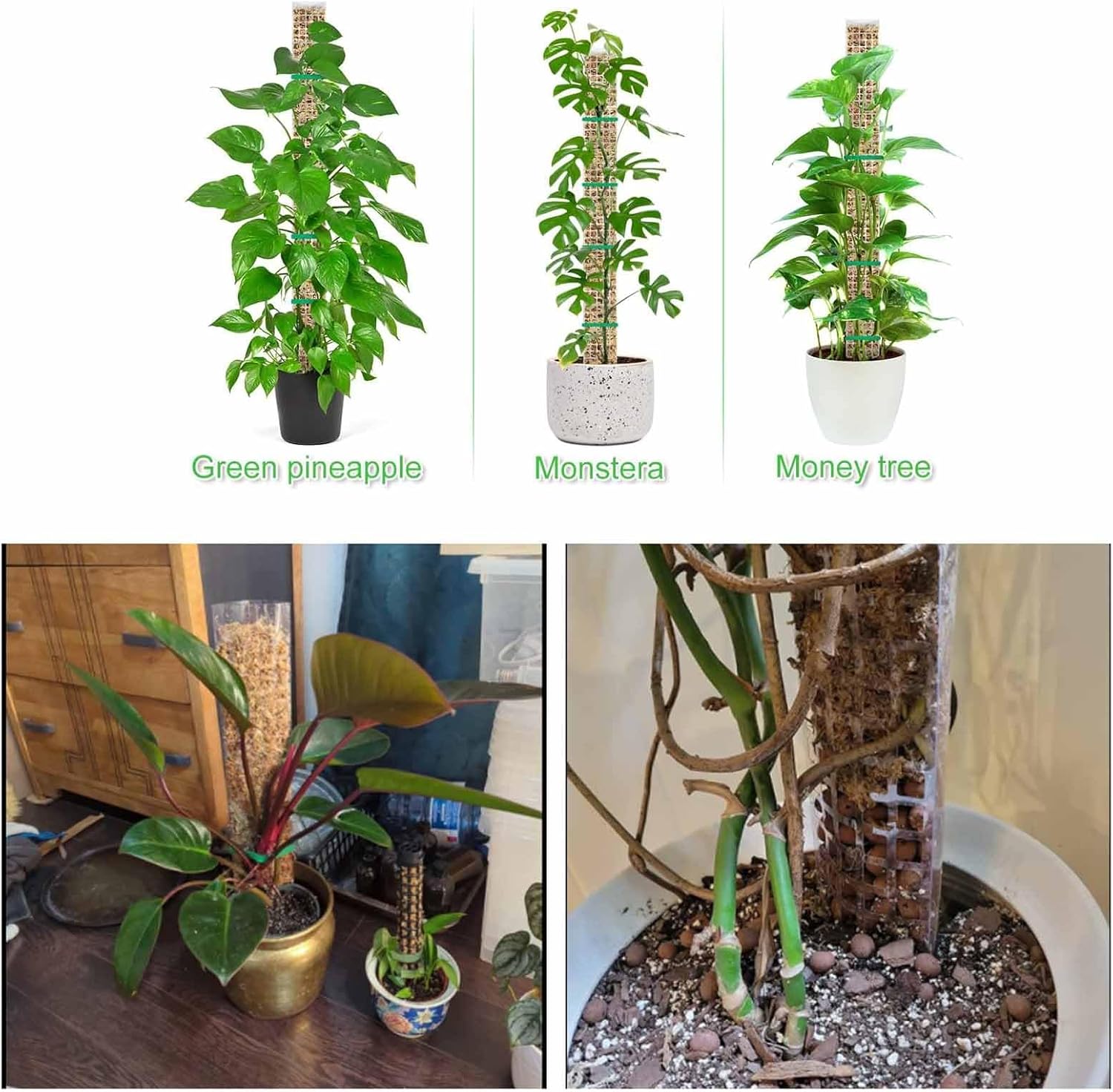 6 Pcs 24 Inch Plastic Moss Pole for Plants Monstera, Stackable for Indoor Work with Sphagnum Support Structure to Help Plants Grow Upwar - Image 4