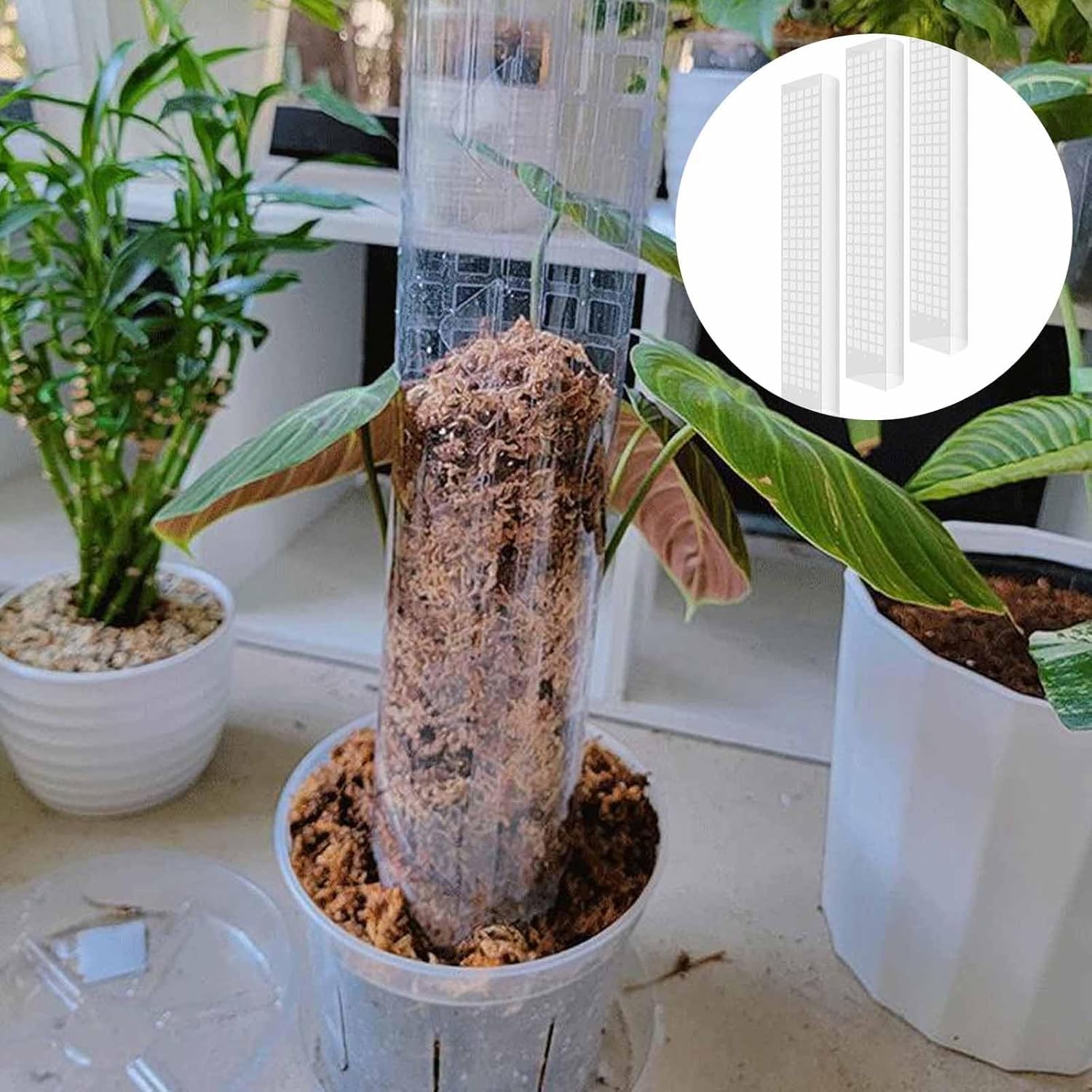 6 Pcs 24 Inch Plastic Moss Pole for Plants Monstera, Stackable for Indoor Work with Sphagnum Support Structure to Help Plants Grow Upwar - Image 5