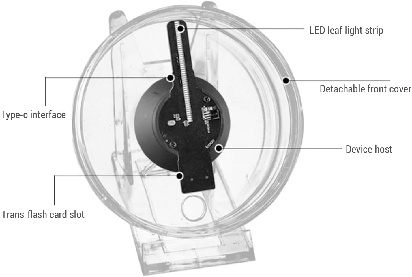 3D Hologram Fan 11cm LED Holographic Projector Advertising Machine Portable Desktop Naked-Eye Stereo Display Built-in Speaker (Transparent) - Image 7