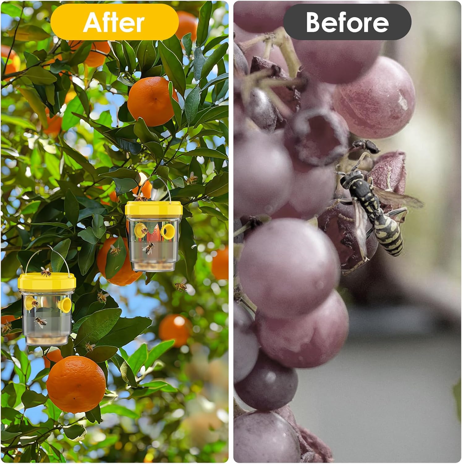 2pcs Wasp Trap, Yellow Hornet Bee Traps Catcher with Hanging Non-Toxic PP Plastic Jacket Traps for Outdoors/Garden - Yellow - Image 5