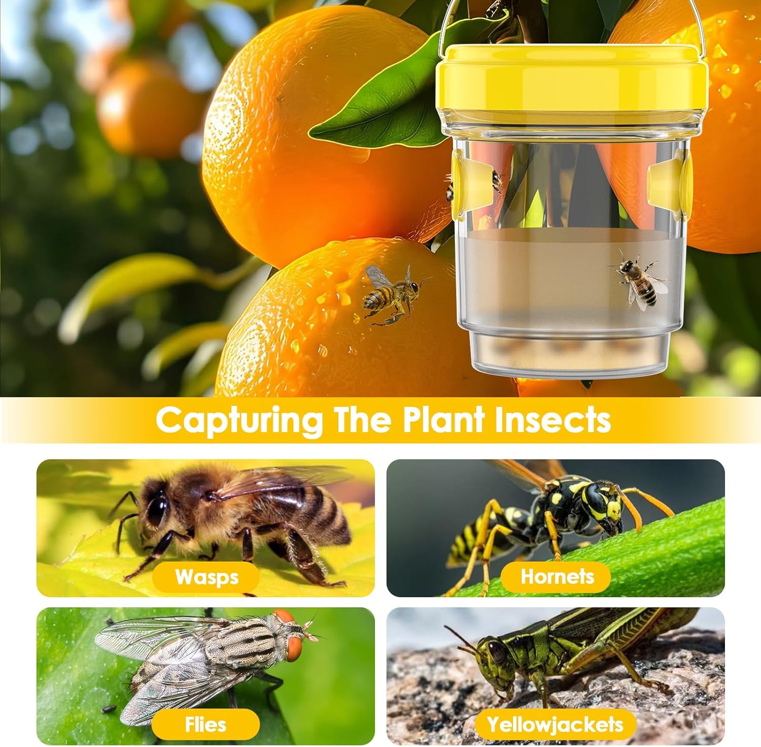 2pcs Wasp Trap, Yellow Hornet Bee Traps Catcher with Hanging Non-Toxic PP Plastic Jacket Traps for Outdoors/Garden - Yellow - Image 7