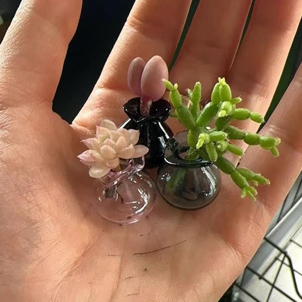 Tiny Vase for Cat Whisker, Cat Whisker Jar Holder, Miniature Flower Vase, Cat Whisker Storage Collection, Miniature Glass Vase Ornaments, Cat Memorial Gifts for Cat Lovers - Image 8