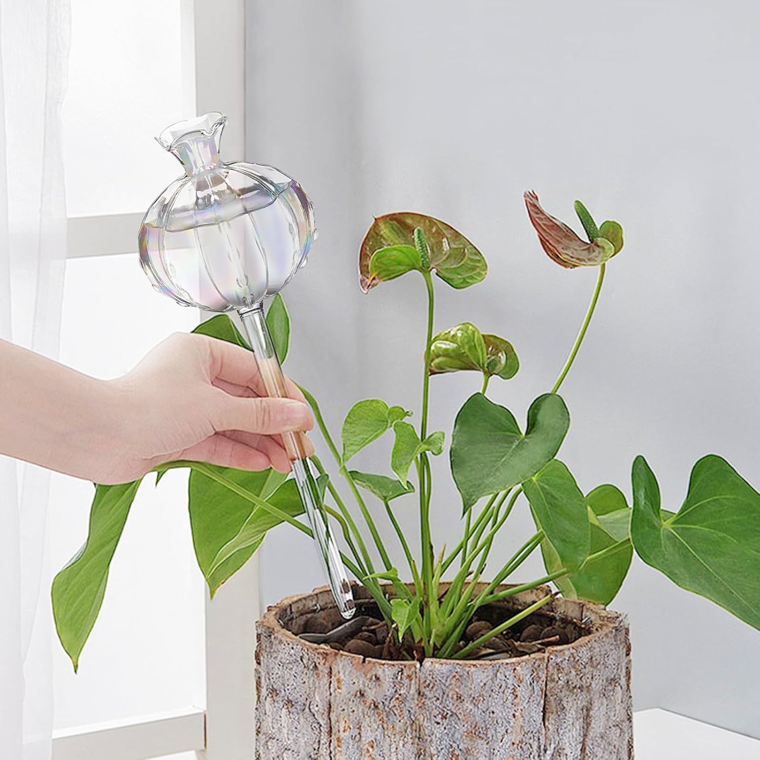 3 PCS Self Plant Watering Globes Insert, Clear Glass Watering Bulbs with Removable Sealing Plug, Plant Waterer for Indoor & Outdoor Plants Flowers (5 oz) - Image 7