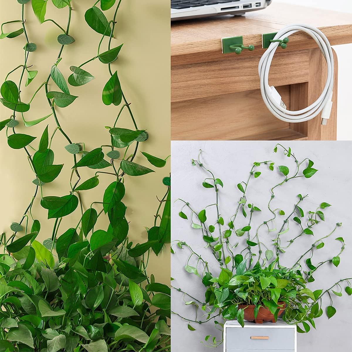100 Pcs Plant Climbing Wall Fixture Clips Self-Adhesive Hook Vines Traction Clips Invisible Holder Garden Green Leaf Simulation Self-Adhesive Hook Wire Fixing Supporting - Image 4