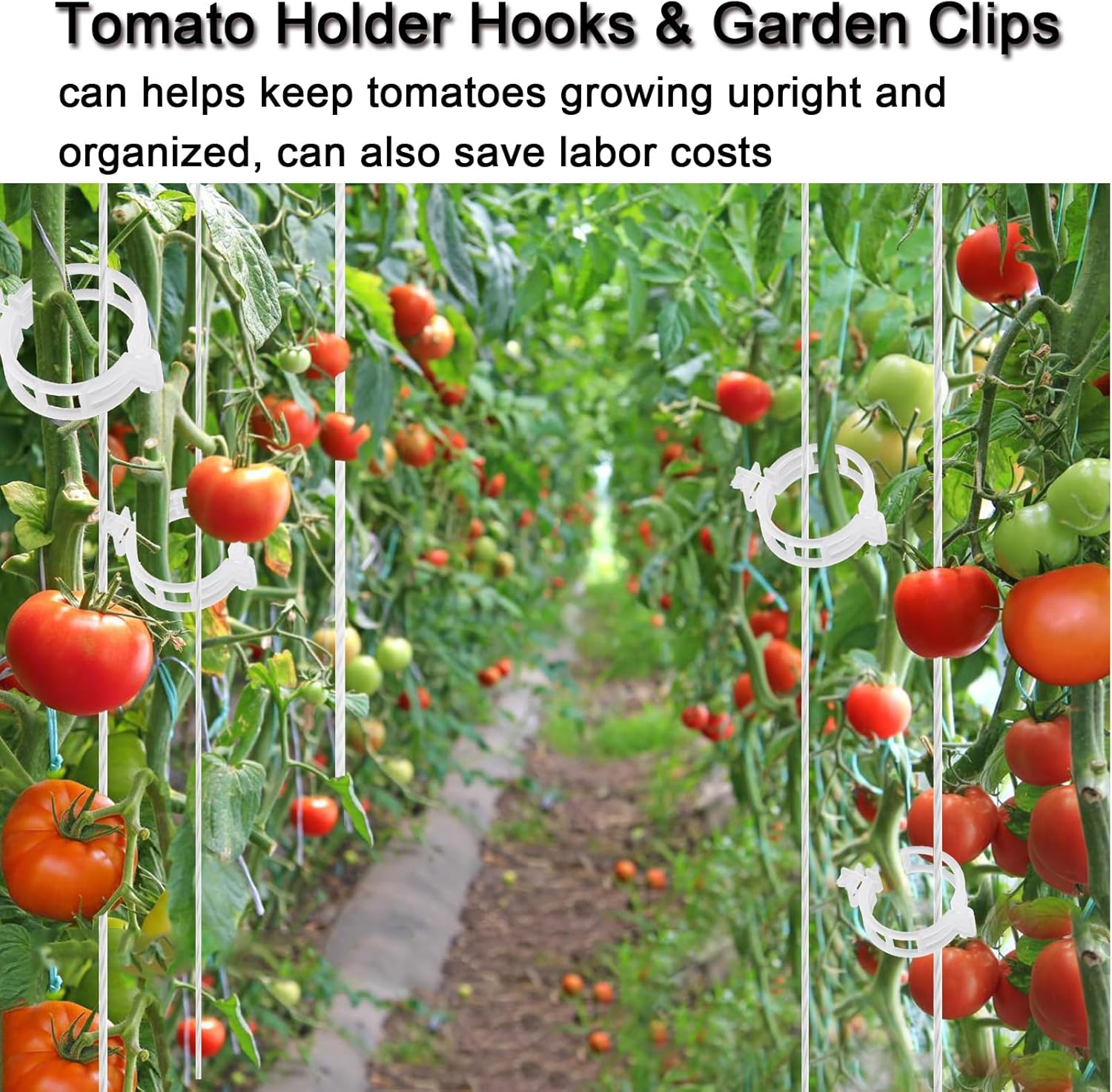 Tomato Clips for Climbing Plants, 300 Pcs Reusable Plastic Tomato Plant Clips for Climbing Plants,Tomato Trellis Clips for Plants Support - Image 6