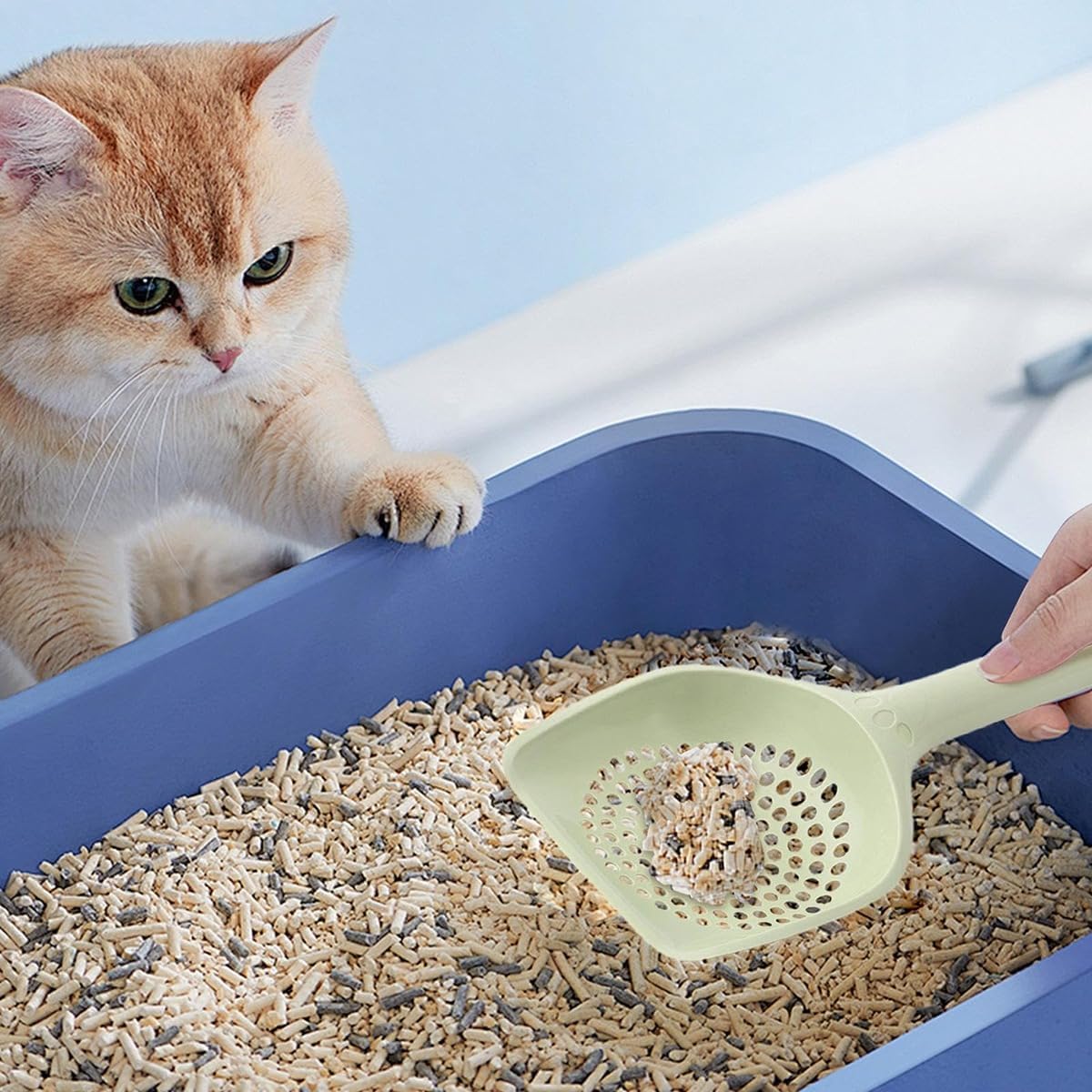 Cat Litter Scoop, Kitten Pooper Lifter, Non Stick Sifter Poop Cleaner Corner Shovel,Cat Feces Scoop, Cat Cleaning Supplies, A Variety Of Colors Available, Durable And Reliable (B) - Image 8
