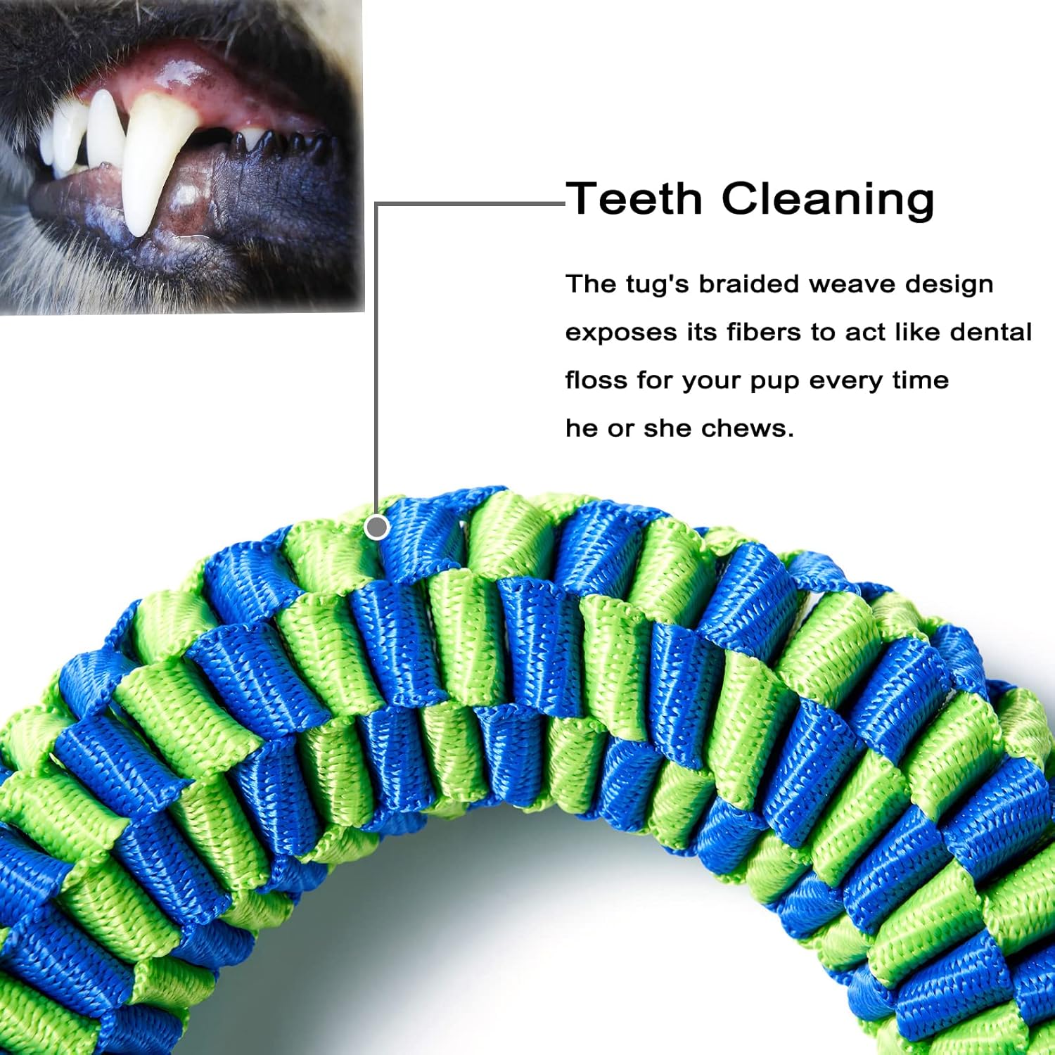 Bullymake Dog Toys for Aggressive Chewers - Tug of War & Teeth Cleaning - Medium & Large Dogs - Image 5