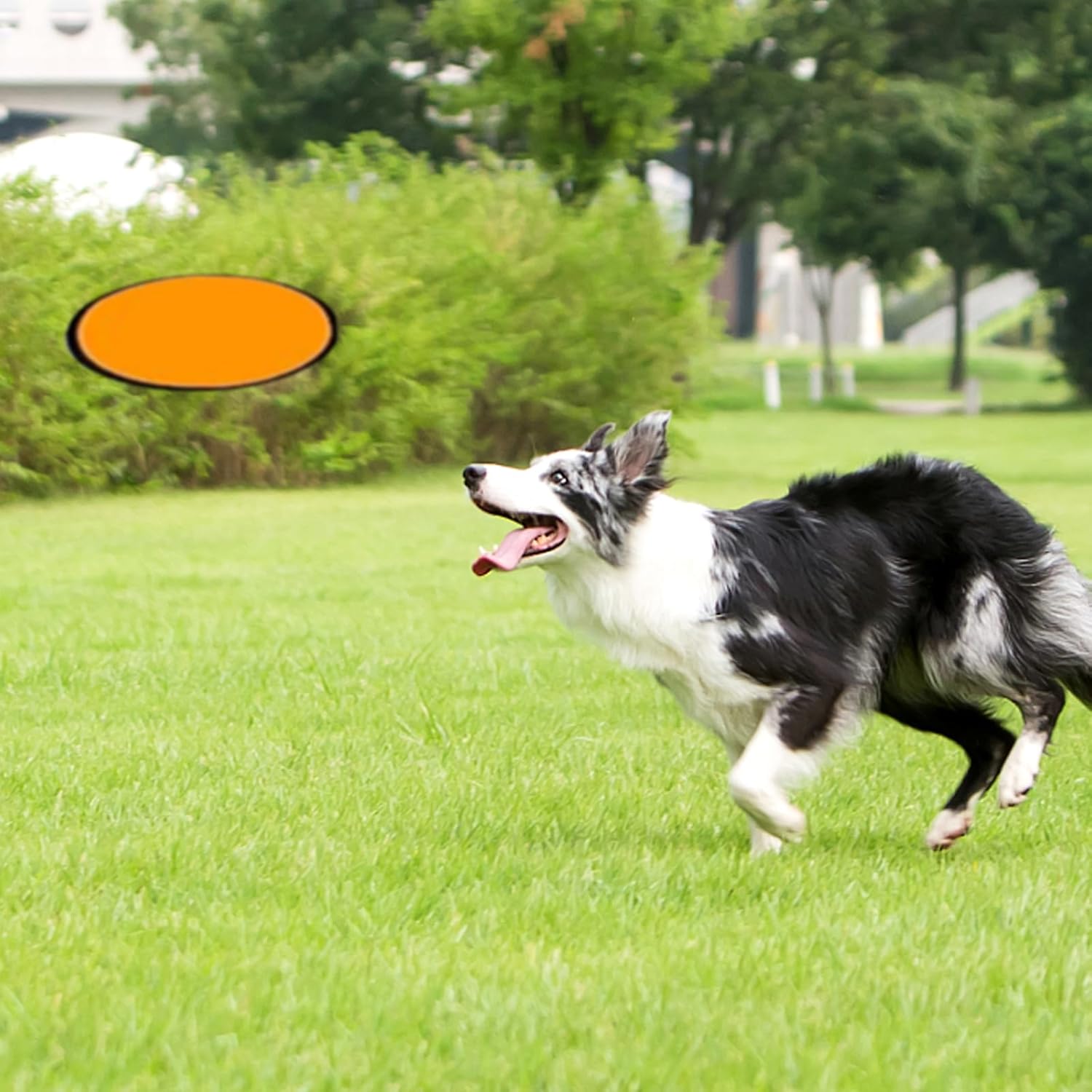 24pcs Collapsible Frisbee Fan Set Beach Frisbee Party Idea Gift Halloween Christmas New Years, 8 Colors - Image 7
