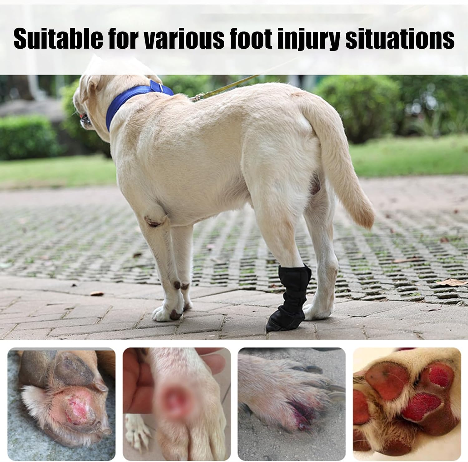 Dog Paw Wound Cover - Pet Waterproof Foot Covers | Claw Shoe Covers | Adjustable Dog Boots for Injured Paws | Breathable Four-Legged Claw Shoe Covers | Non-Slip Dog Injury Protection C - Image 3