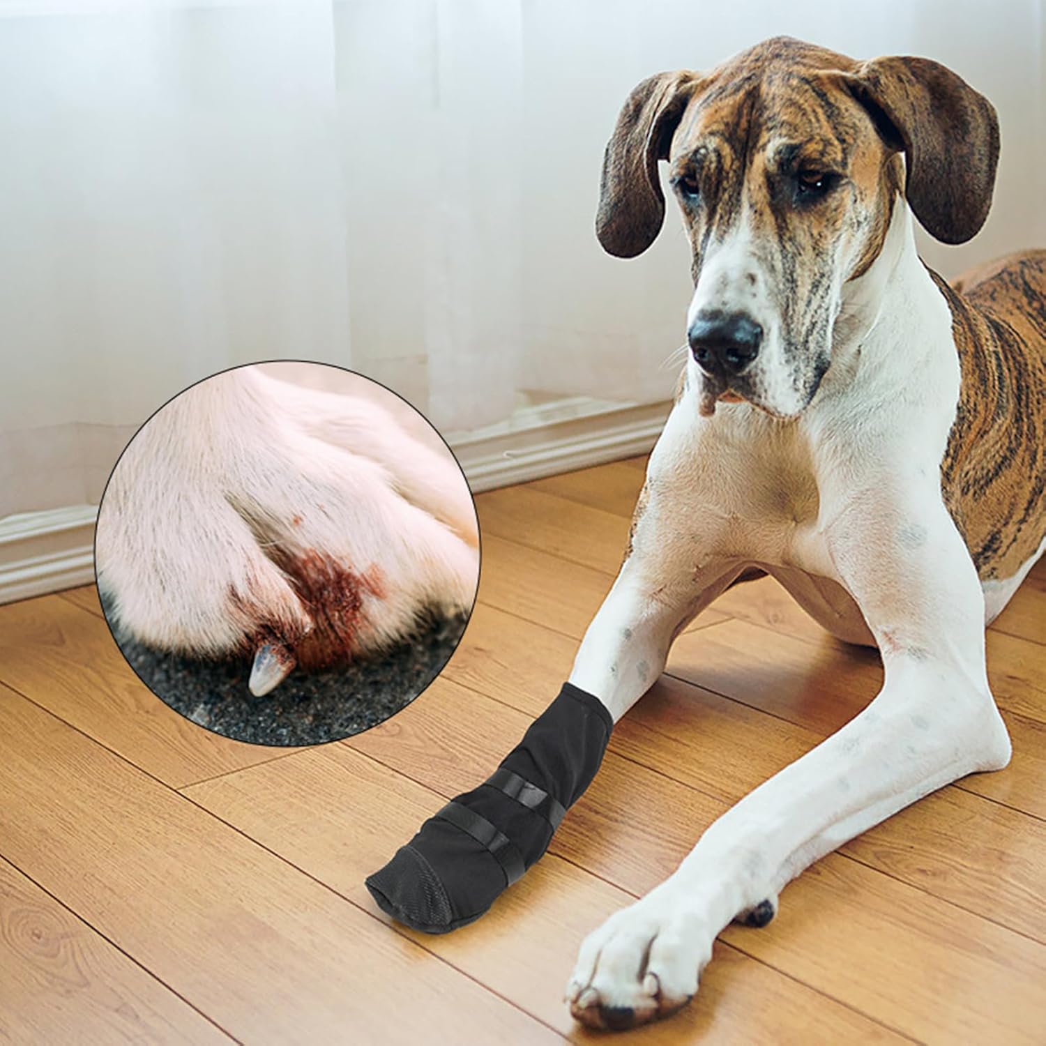 Dog Paw Wound Cover - Pet Waterproof Foot Covers | Claw Shoe Covers | Adjustable Dog Boots for Injured Paws | Breathable Four-Legged Claw Shoe Covers | Non-Slip Dog Injury Protection C - Image 4