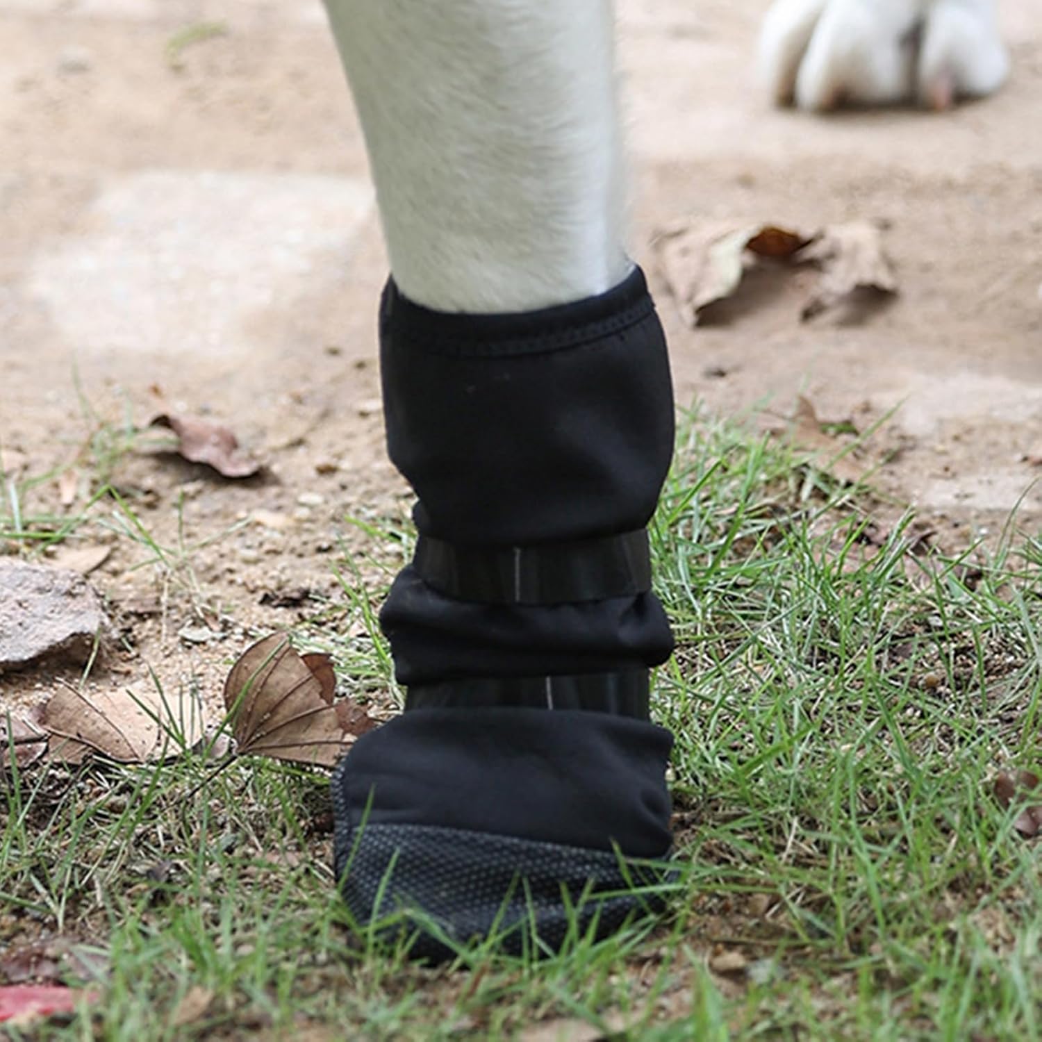 Dog Paw Wound Cover - Pet Waterproof Foot Covers | Claw Shoe Covers | Adjustable Dog Boots for Injured Paws | Breathable Four-Legged Claw Shoe Covers | Non-Slip Dog Injury Protection C - Image 5