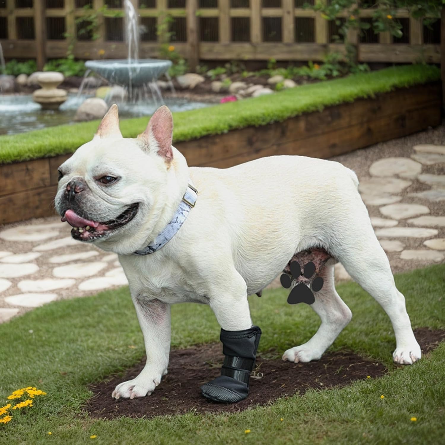 Dog Paw Wound Cover - Pet Waterproof Foot Covers | Claw Shoe Covers | Adjustable Dog Boots for Injured Paws | Breathable Four-Legged Claw Shoe Covers | Non-Slip Dog Injury Protection C - Image 6