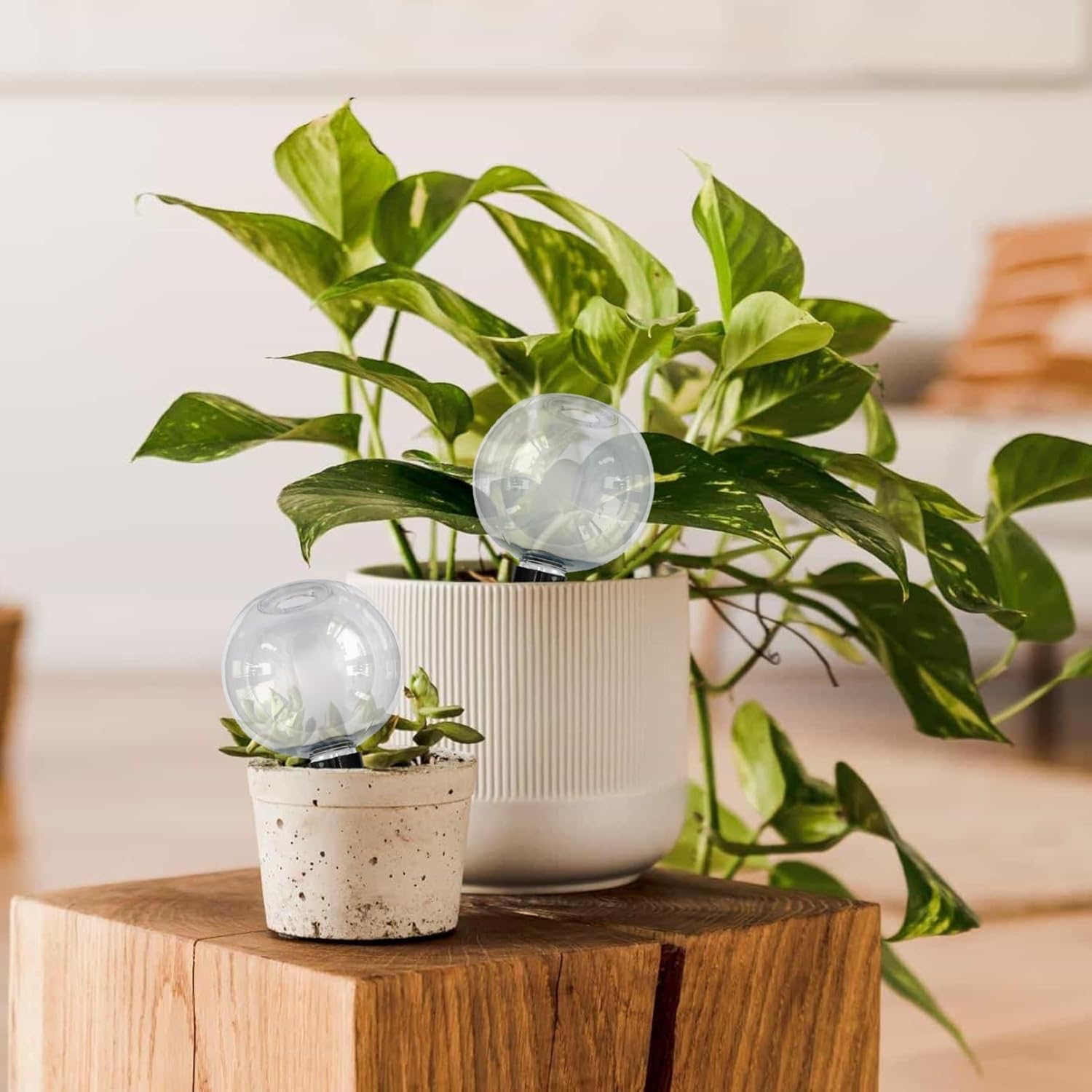 3PCS Plant Watering Globes, 500ml Self Watering Planter Insert, Transparent Plant Irrigation Devices for Indoor Potted Plants - Image 2