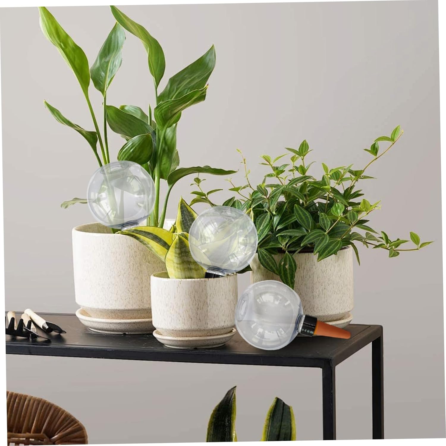 3PCS Plant Watering Globes, 500ml Self Watering Planter Insert, Transparent Plant Irrigation Devices for Indoor Potted Plants - Image 3