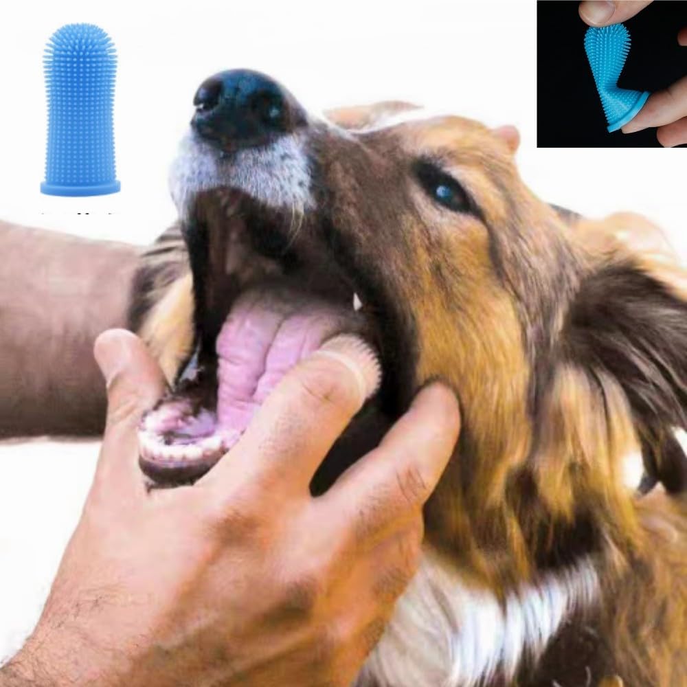 Dog Toothbrush, 10Pcs Soft Dog Finger Toothbrush, 360º Dog Finger Toothbrush, Silicone Pets Teeth Cleaning Toothbrush Kit for Dogs Puppies, Small Pets Dental Care - Image 7