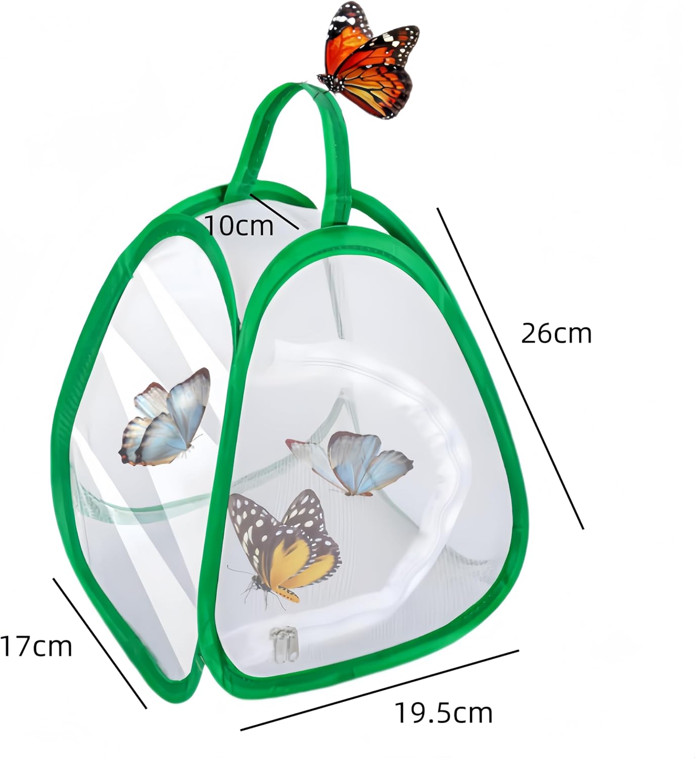 2 Pack Mini Butterfly Habitat Cage- 23 x 25.5 x 21CM, Butterfly Net, Collapsible Insect Mesh Cage- Portable Butterfly Net Habitat with Zipper for Transporting and Raising - Image 2