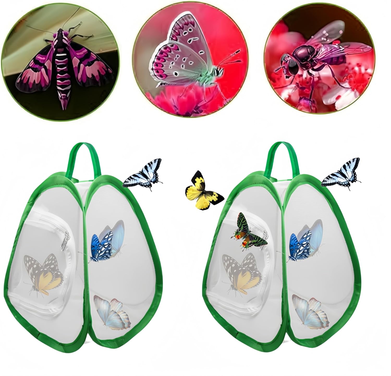 2 Pack Mini Butterfly Habitat Cage- 23 x 25.5 x 21CM, Butterfly Net, Collapsible Insect Mesh Cage- Portable Butterfly Net Habitat with Zipper for Transporting and Raising - Image 3