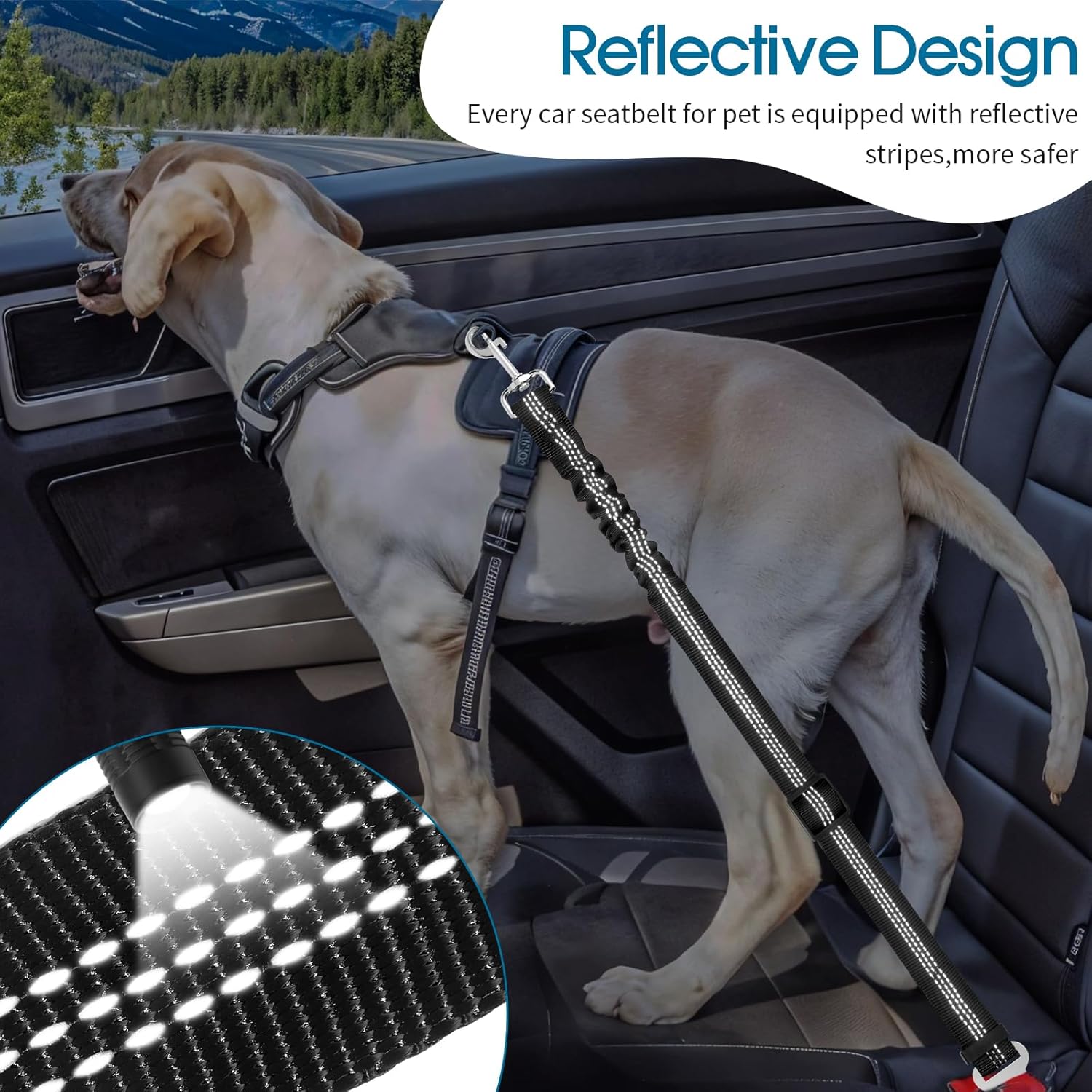 Dog Seat Belt for Car, Adjustable Dog Seatbelts for Vehicle, Nylon Pet Safety Seat Belts for Travel - Image 3