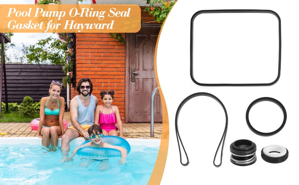 Pool Pump O-Ring Seal Gasket Repair Kit for Hayward Pump SP1600, SP2600 in Regular, X, VSP Models. for Hayward for SPX1600TRA for SP1600Z2 for PS-201 for SPX1600R for SPX1600S for SPX1600T - Image 7