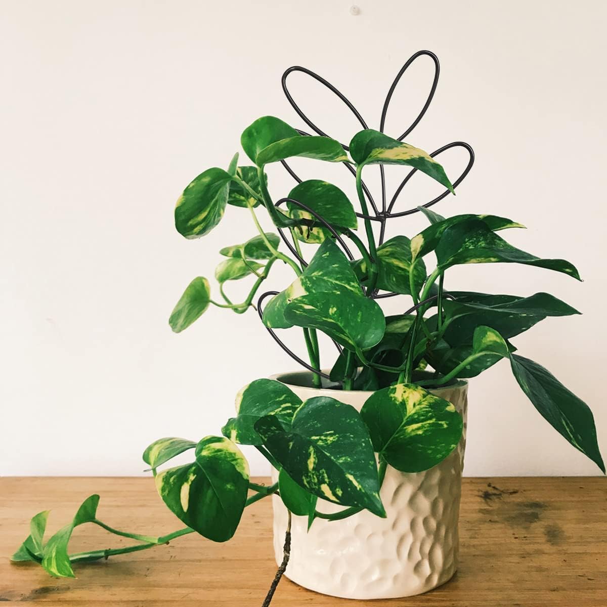 2Pack Indoor Plant Trellis Metal Wire Garden Trellis ，Small Climbing Leaf Shape Trellis for Garden Potted Plant Houseplant(Green) - Image 2