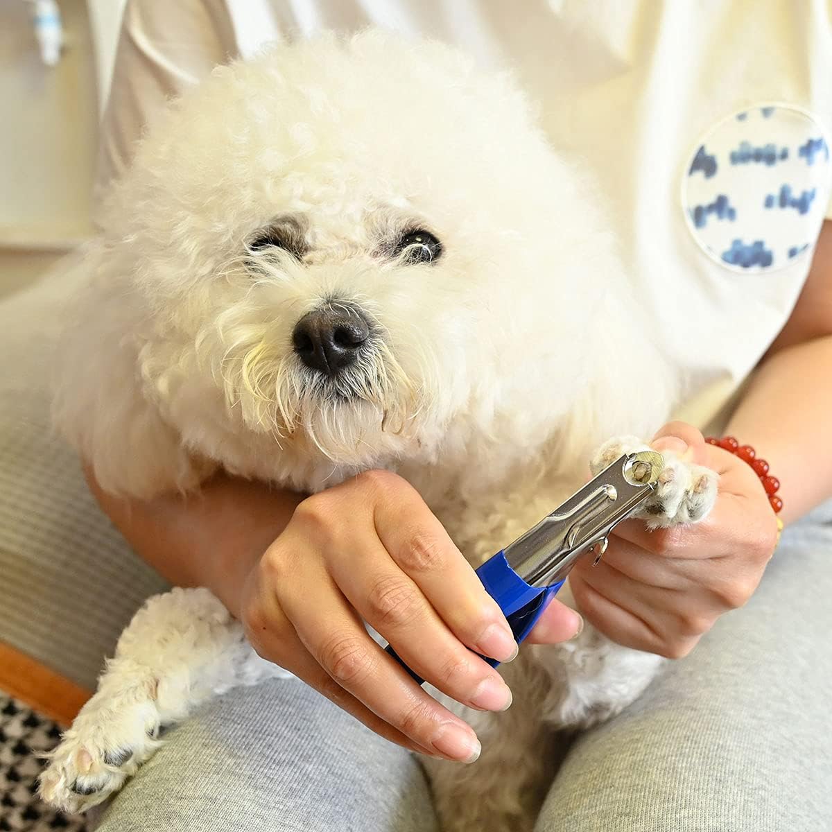Dog Cat Nail Clippers, Professional Pet Claw Trimmer, Free Nail File, Stainless Steel Razor Sharp Blade Dog Toes Cutter Grooming Tools for Small Medium Large Animal Pets Blue - Image 4