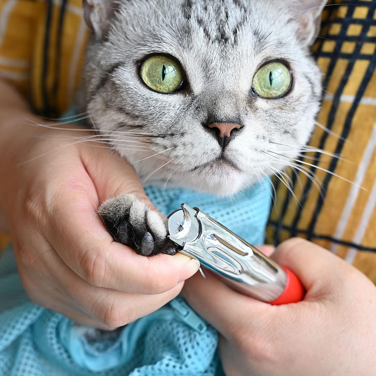 Dog Cat Nail Clippers, Professional Pet Claw Trimmer, Free Nail File, Stainless Steel Razor Sharp Blade Dog Toes Cutter Grooming Tools for Small Medium Large Animal Pets Blue - Image 5