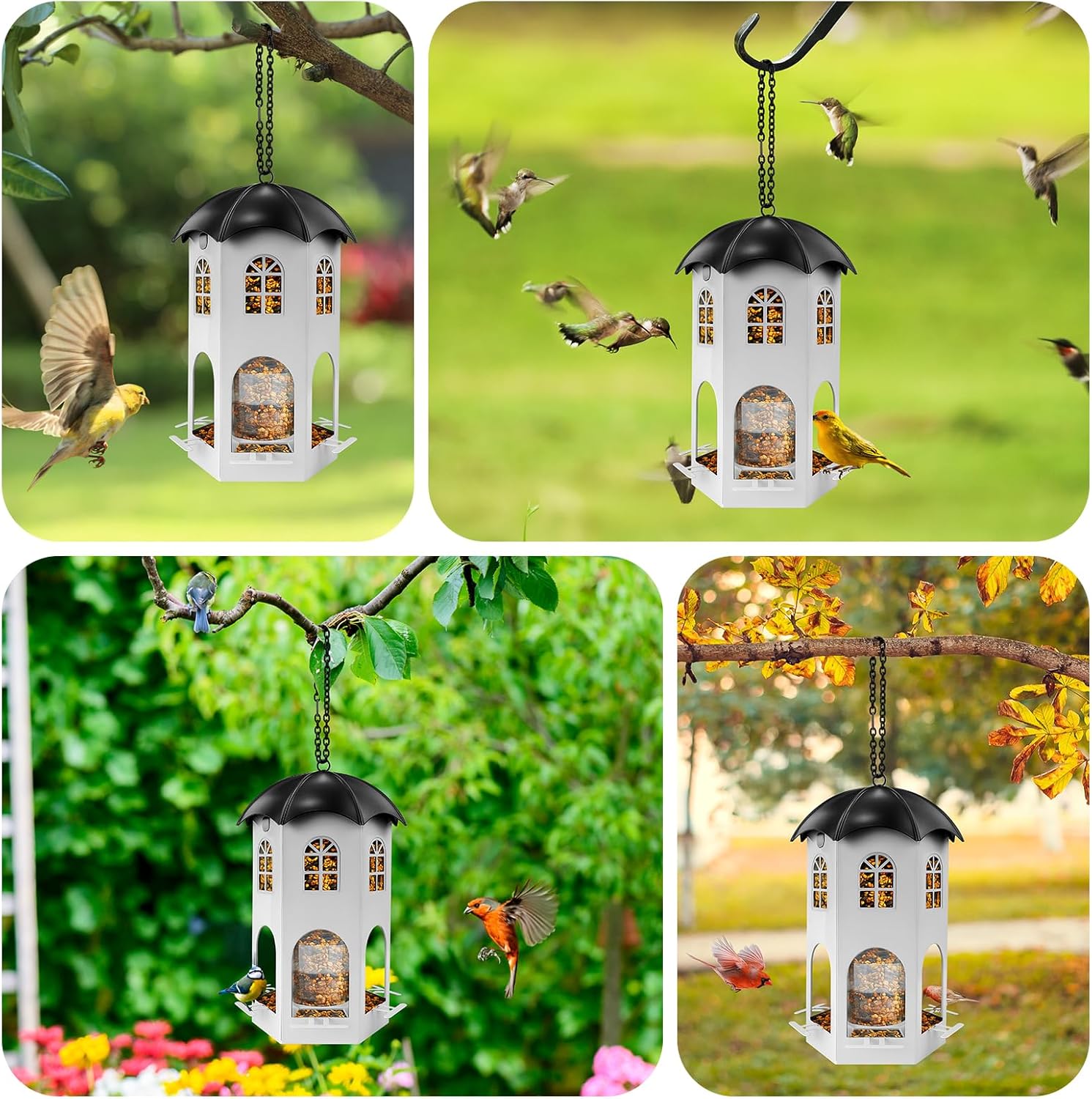 Metal Bird Feeder for Outdoor Hanging, Wild Bird Feeders with Circular Perch, Squirrel Proof Bird Feeder,Easy to Clean & Refill, Large Seed Capacity Birds Feeder - Image 6