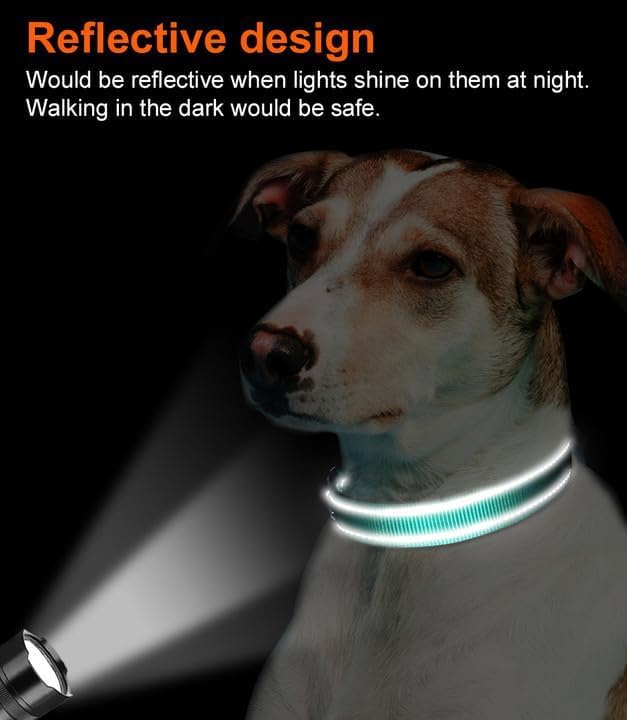 Reflective Dog Collar, Soft Neoprene Padded, Metal D-Ring, Nylon Pet Collar Adjustable for Large Dogs, Teal, L Teal (Pack of 1) - Image 5