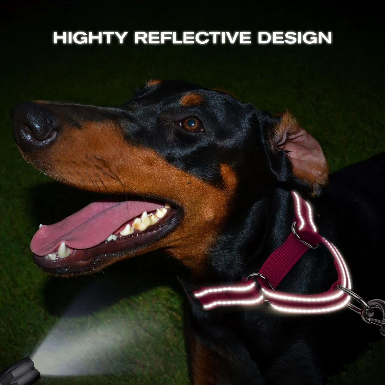 Martingale Collar for Dogs, Reflective Heavy Duty Safety, Quick Release Buckle, Adjustable Nylon Collars Medium Dogs Walking Training, Hotpink,M Hotpink M - Image 5