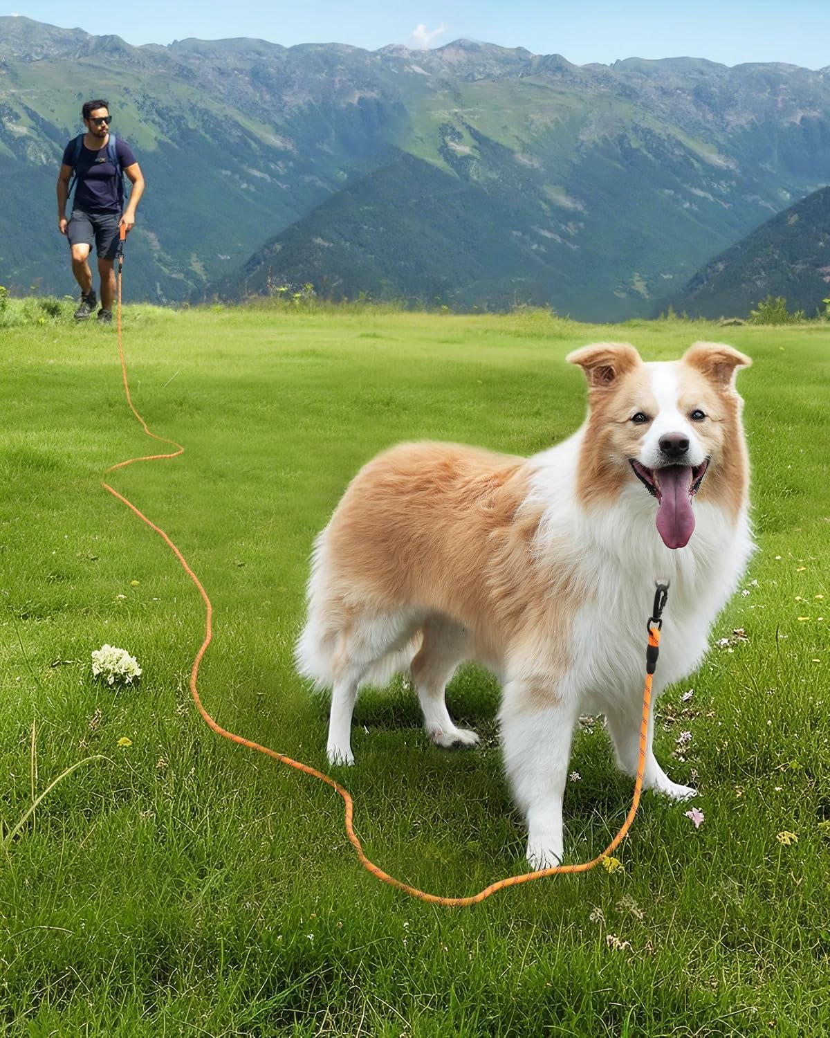 Long Leash for Dog with Removable Padded Handle, Heavy Duty Lead Large Medium Dogs,15FT/30FT/50FT/65FT Reflective Training Play, Camping, Backyard Tie Out, Orange, 30FT Orange - Image 2