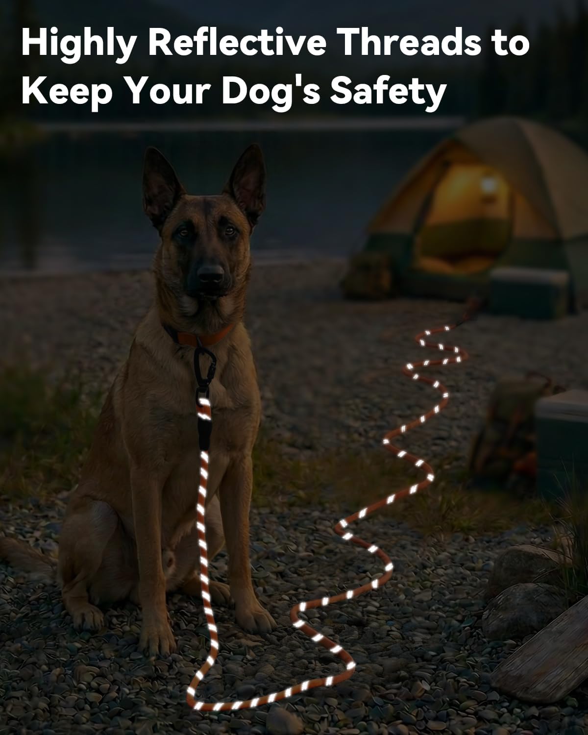 Long Leash for Dog with Removable Padded Handle, Heavy Duty Lead Large Medium Dogs,15FT/30FT/50FT/65FT Reflective Training Play, Camping, Backyard Tie Out, Orange, 30FT Orange - Image 4