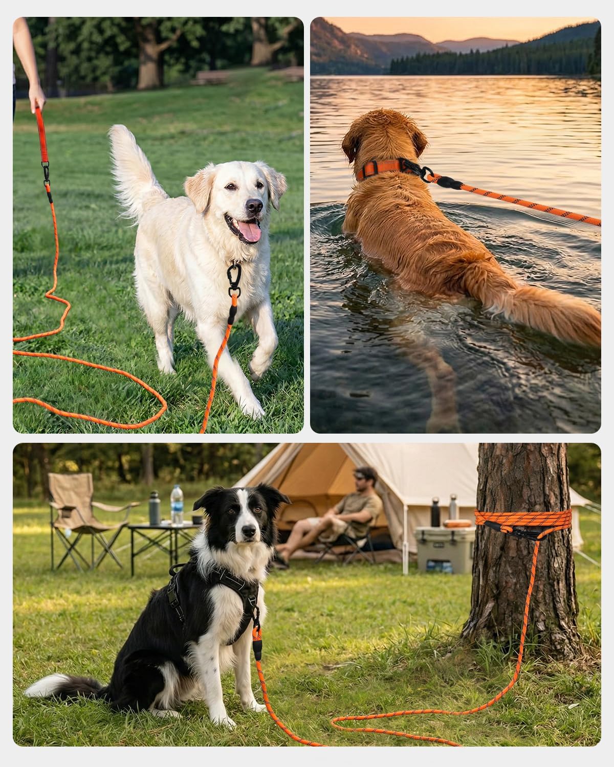 Long Leash for Dog with Removable Padded Handle, Heavy Duty Lead Large Medium Dogs,15FT/30FT/50FT/65FT Reflective Training Play, Camping, Backyard Tie Out, Orange, 30FT Orange - Image 6