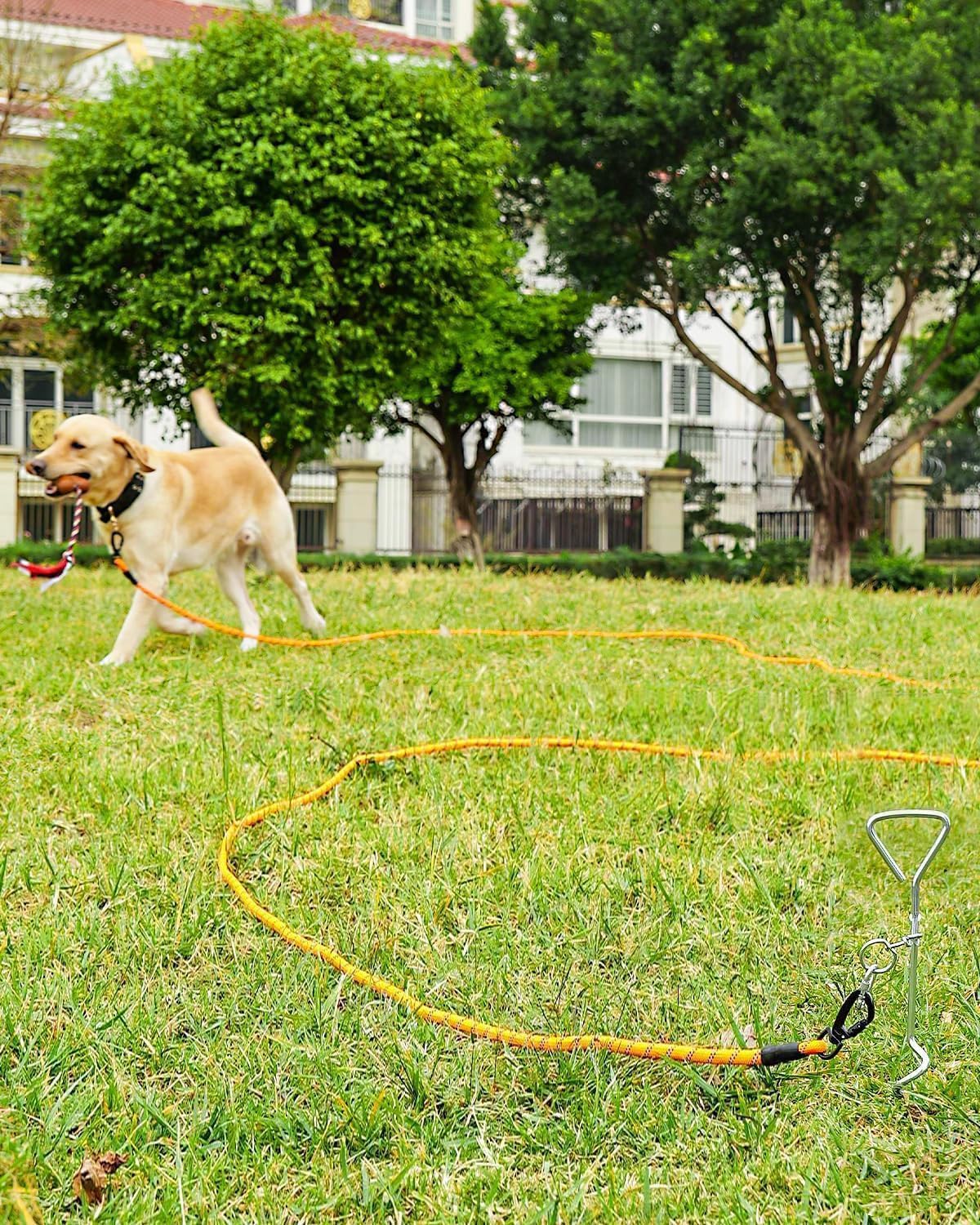 Long Leash for Dog with Removable Padded Handle, Heavy Duty Lead Large Medium Dogs,15FT/30FT/50FT/65FT Reflective Training Play, Camping, Backyard Tie Out, Orange, 30FT Orange - Image 8